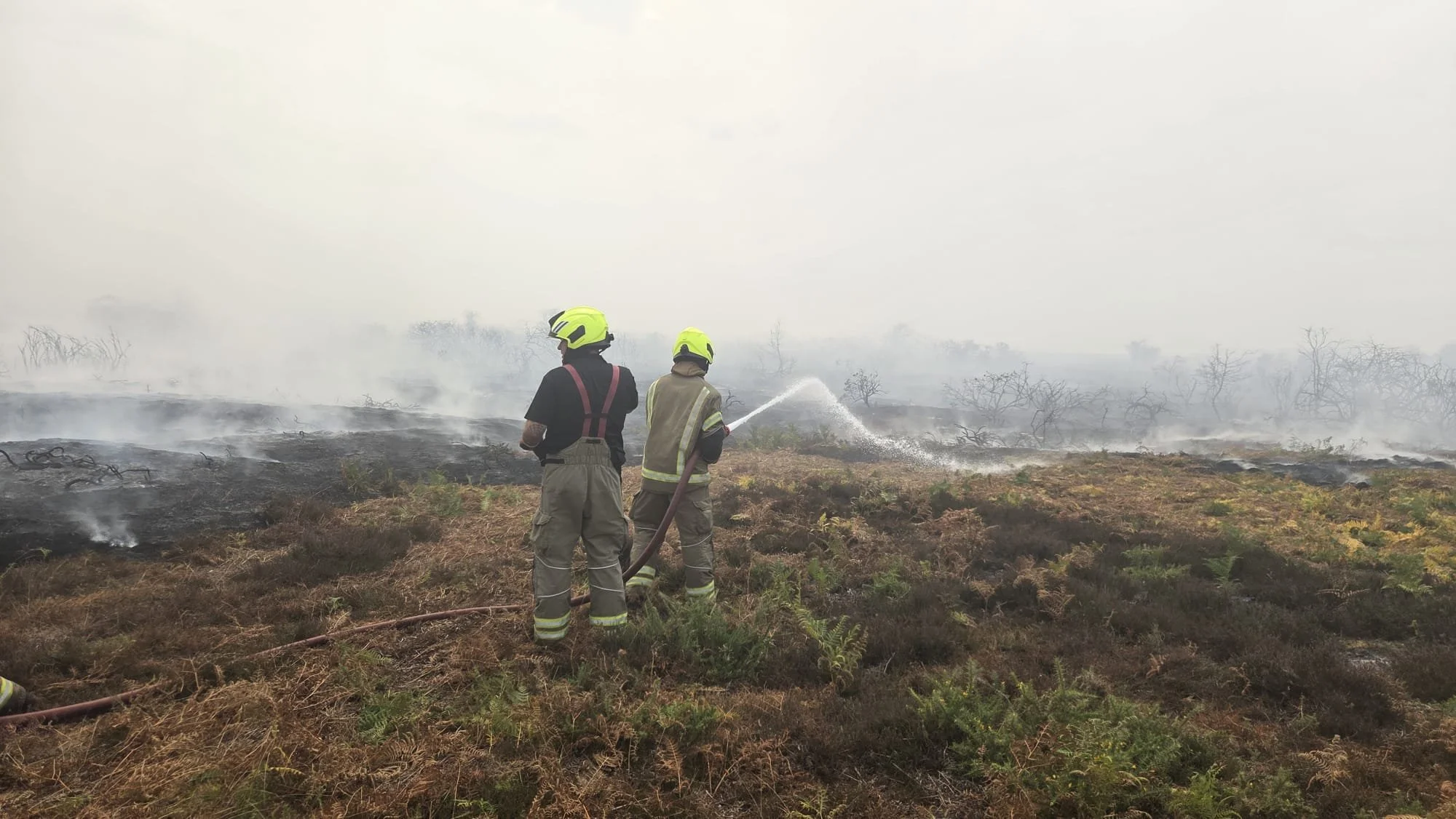 Devastation at Dunwich