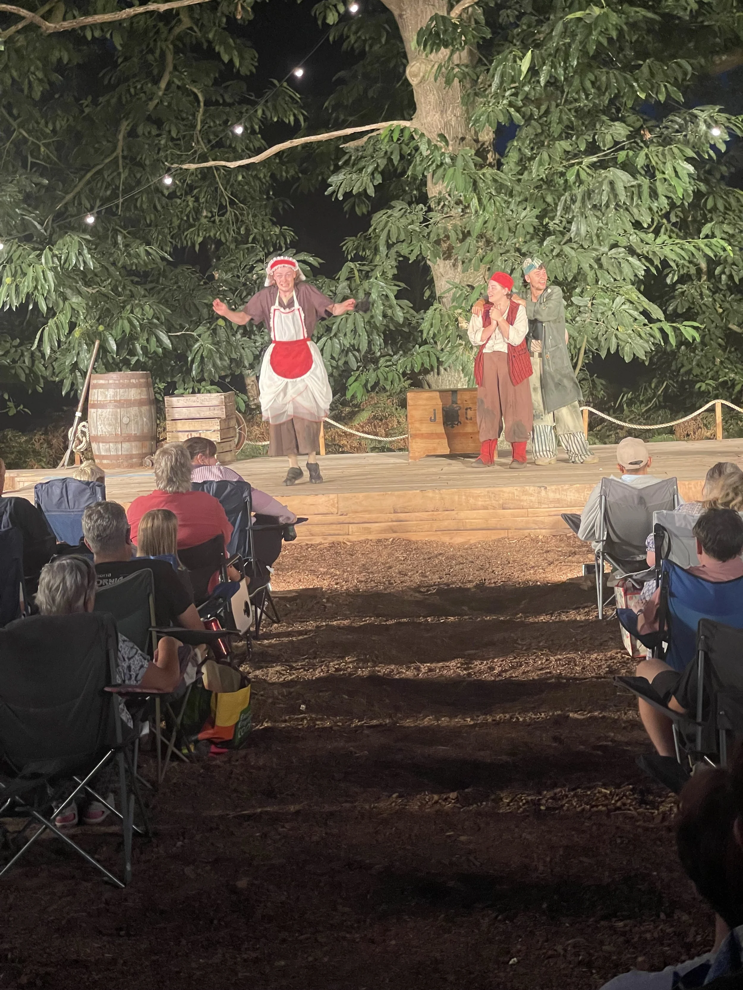 Twelfth Night - a MUST SEE!