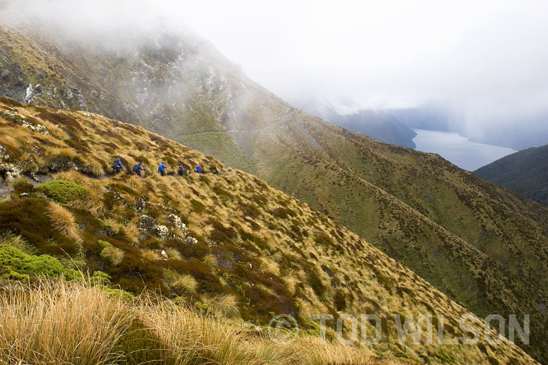  Kepler Track, Fiordland 