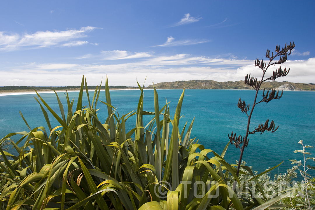  Mahia, East Coast, North Island. 