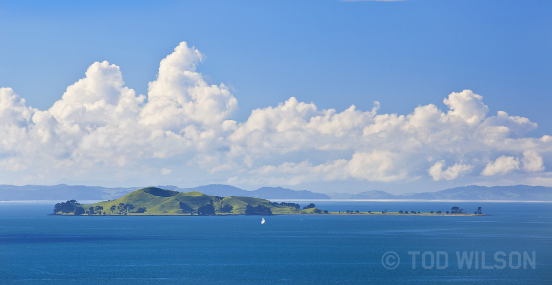 Motukorea Island, Hauraki Gulf, Auckland. 