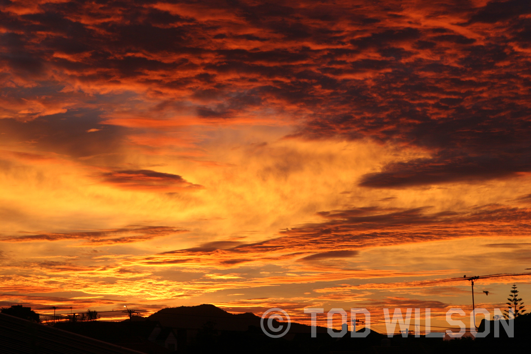  Sunset, Auckland. 