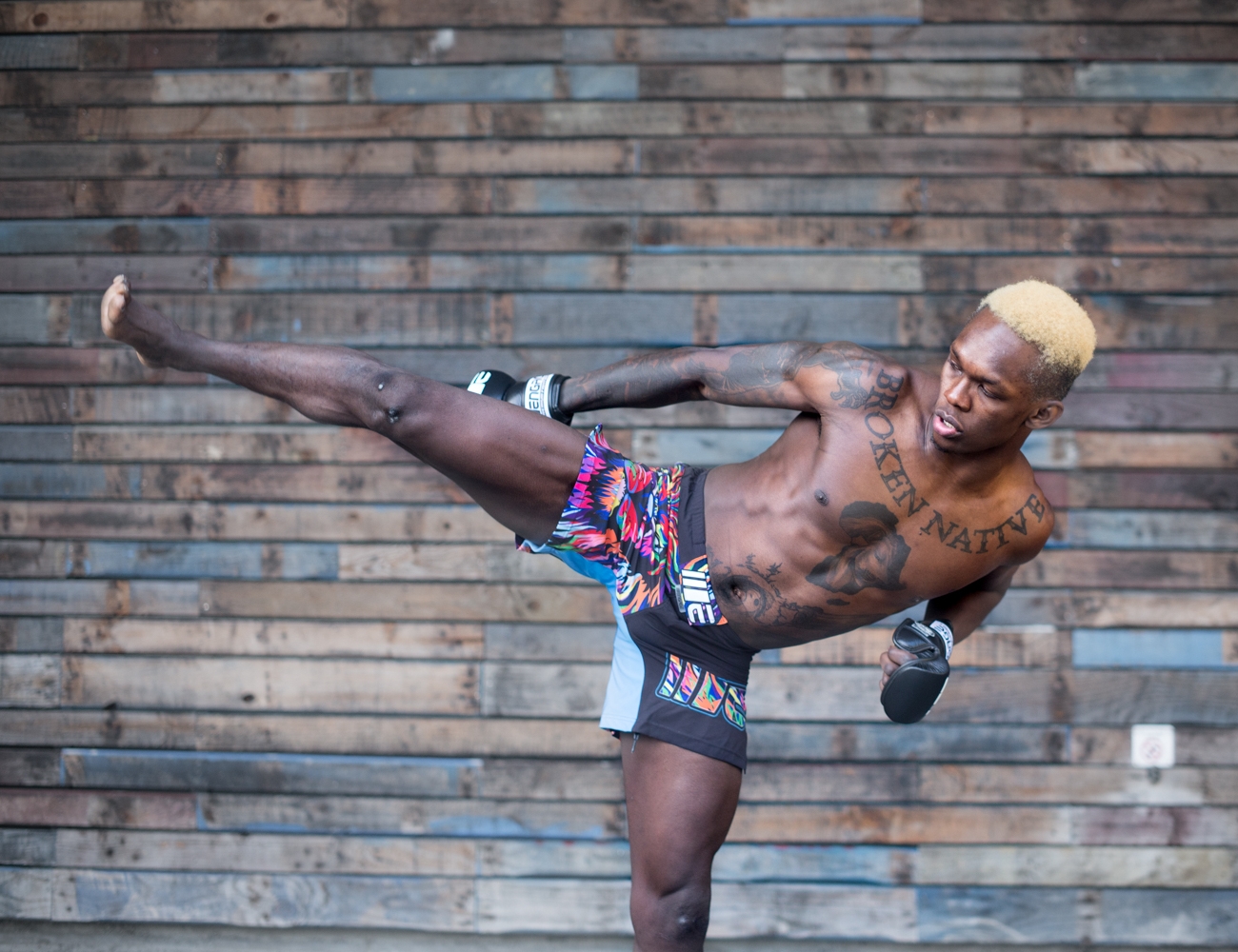 style-bender-kick-MMA