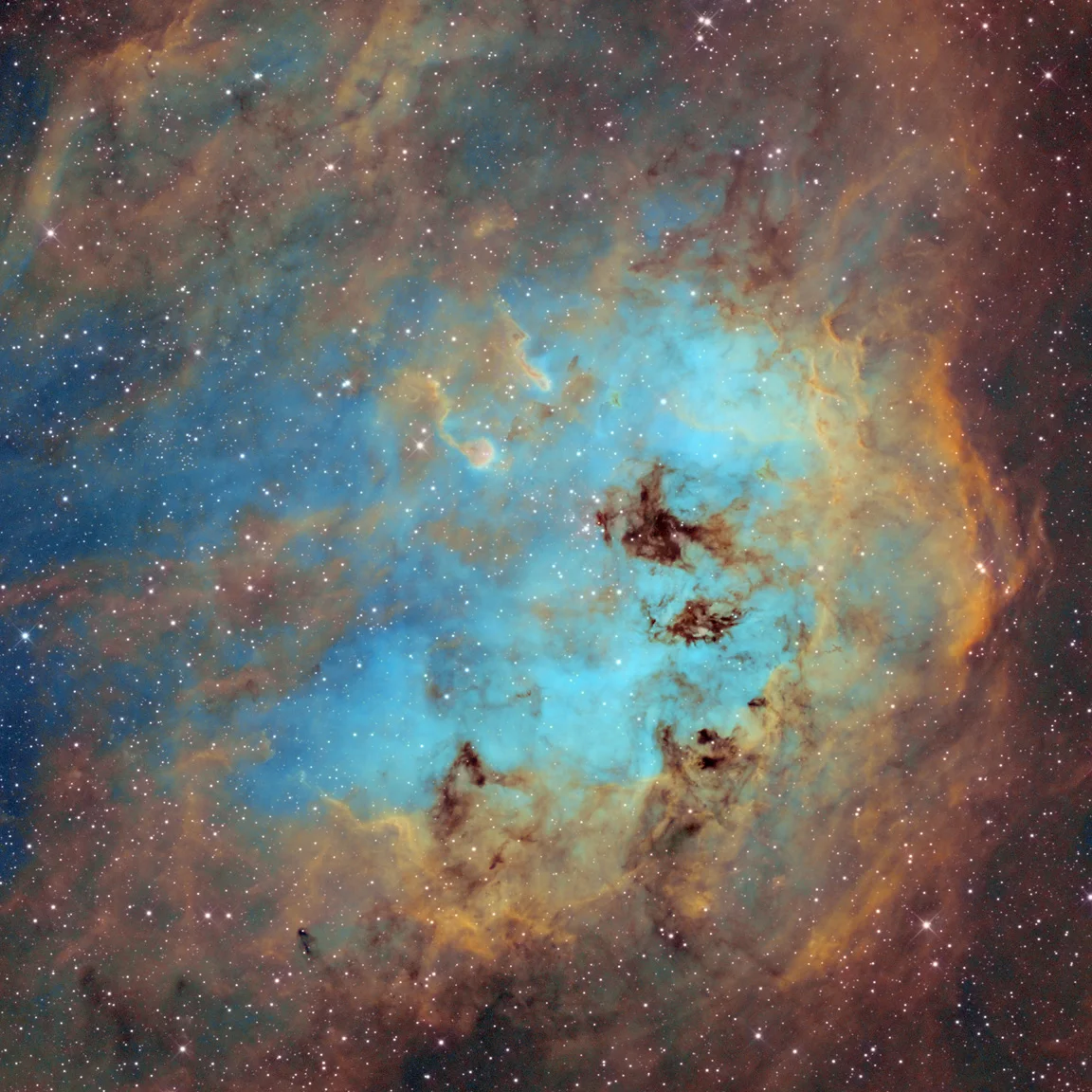 Tadpoles <br> <br> IC410
