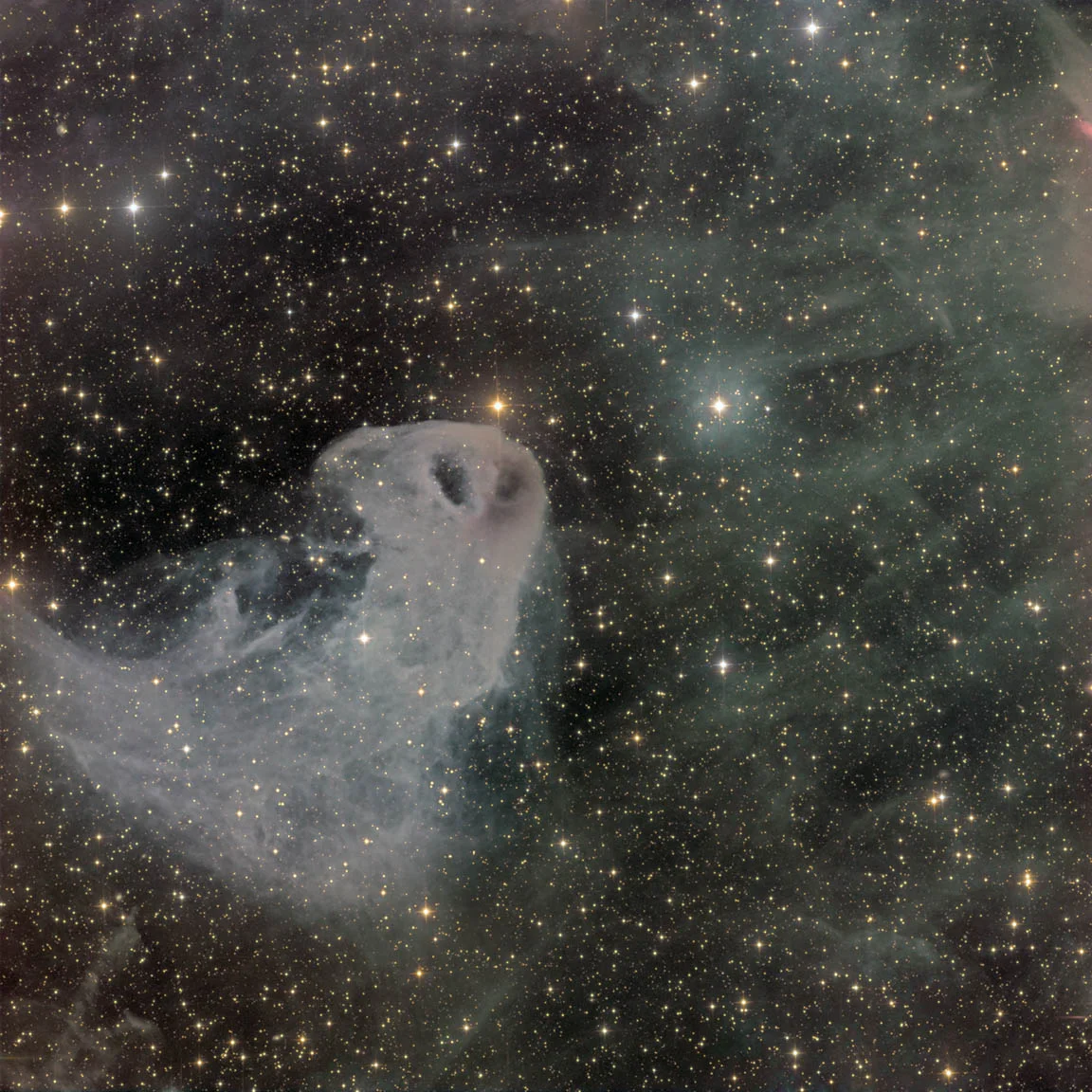 The Baby Eagle <br> <br> LBN777