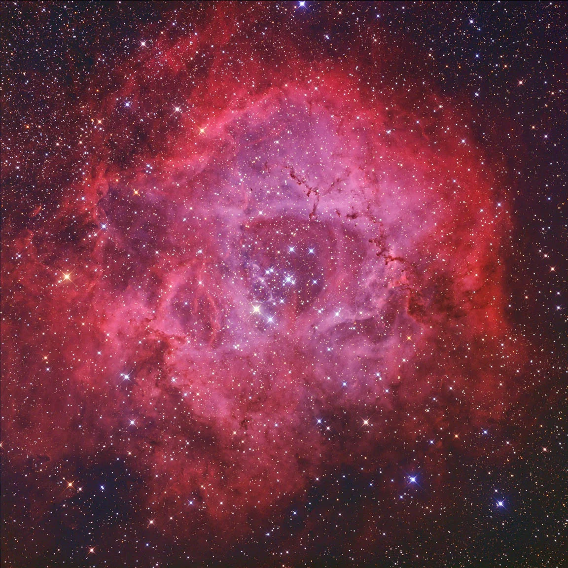 The Rosette Nebula