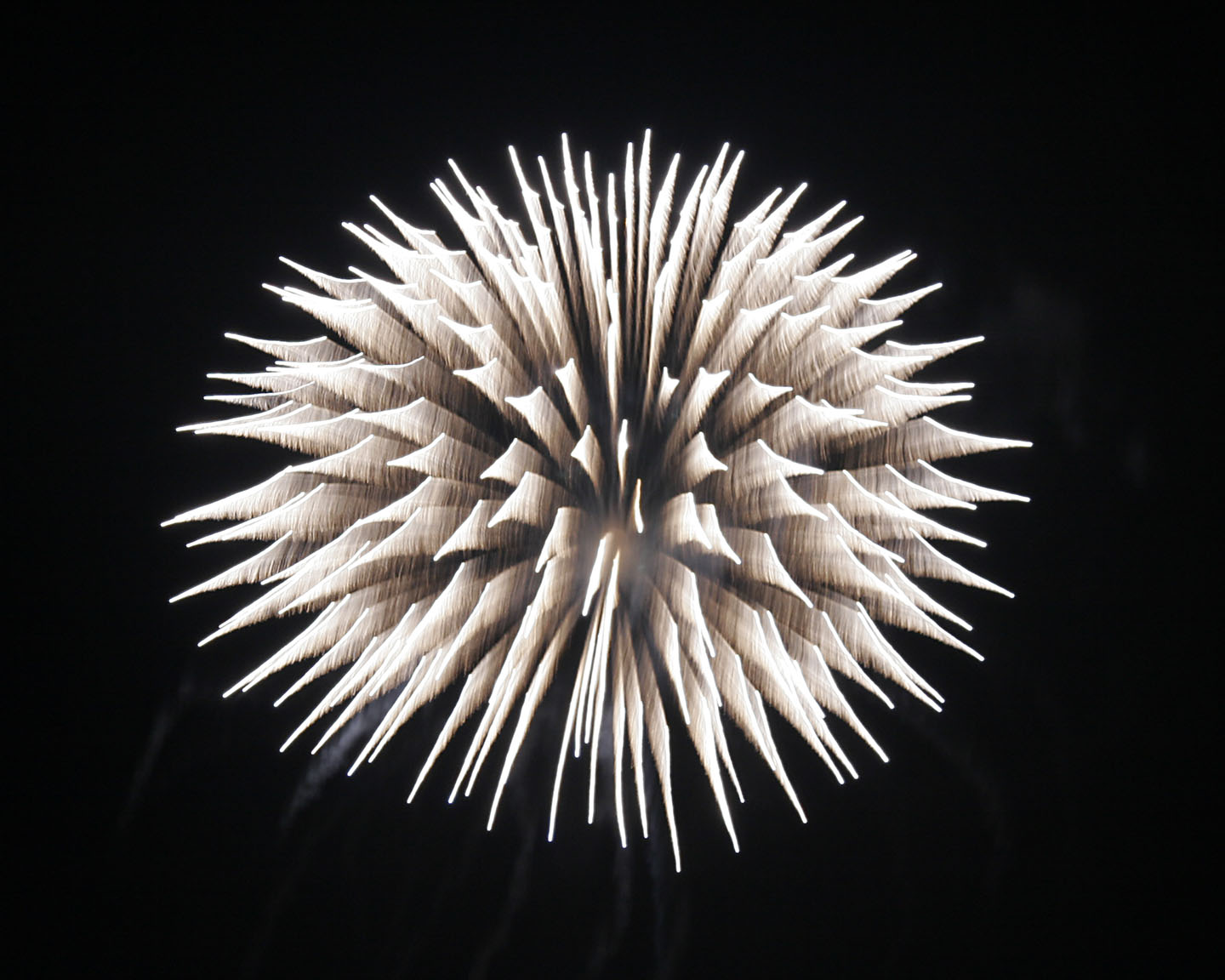 Firework