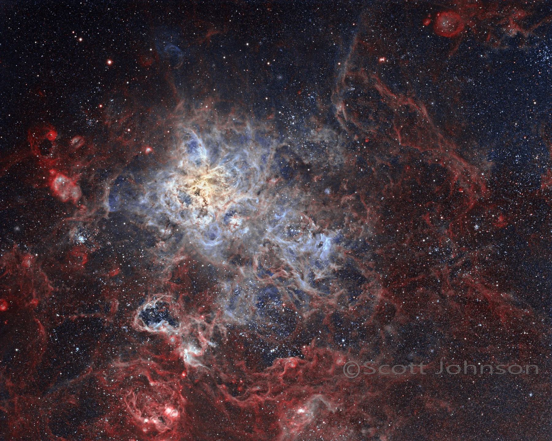 The Tarantula Nebula #2