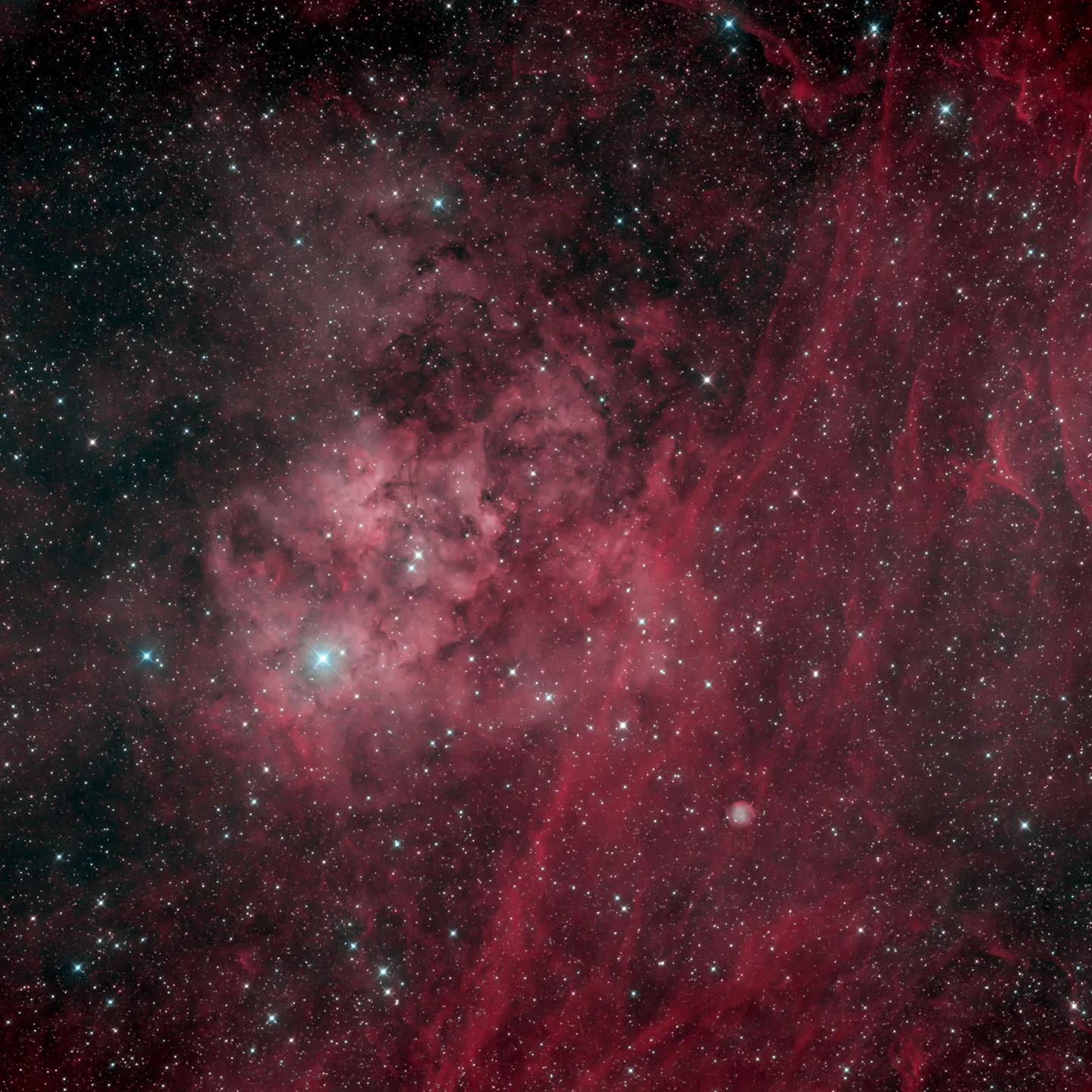 Sh2-115