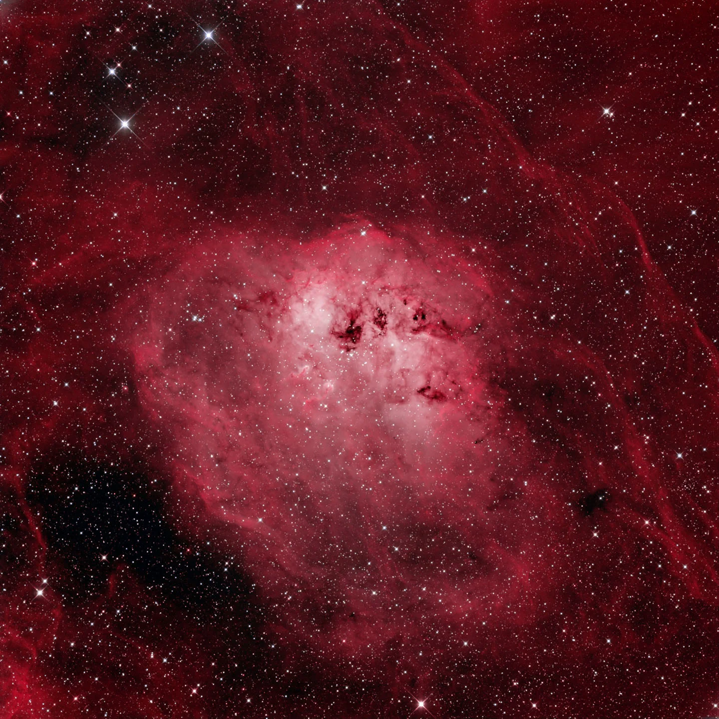 The Tadpoles-IC 410