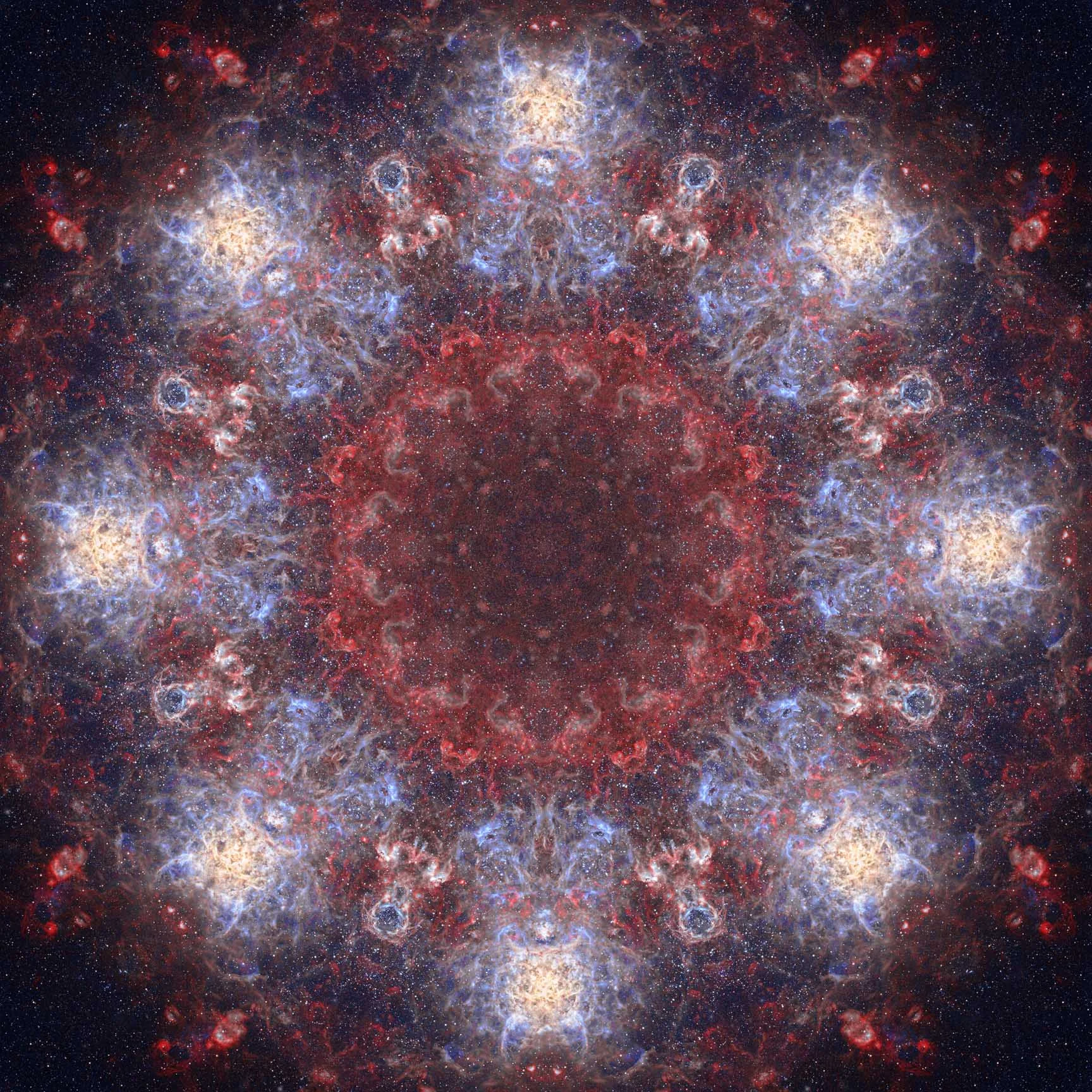 The Tarantula