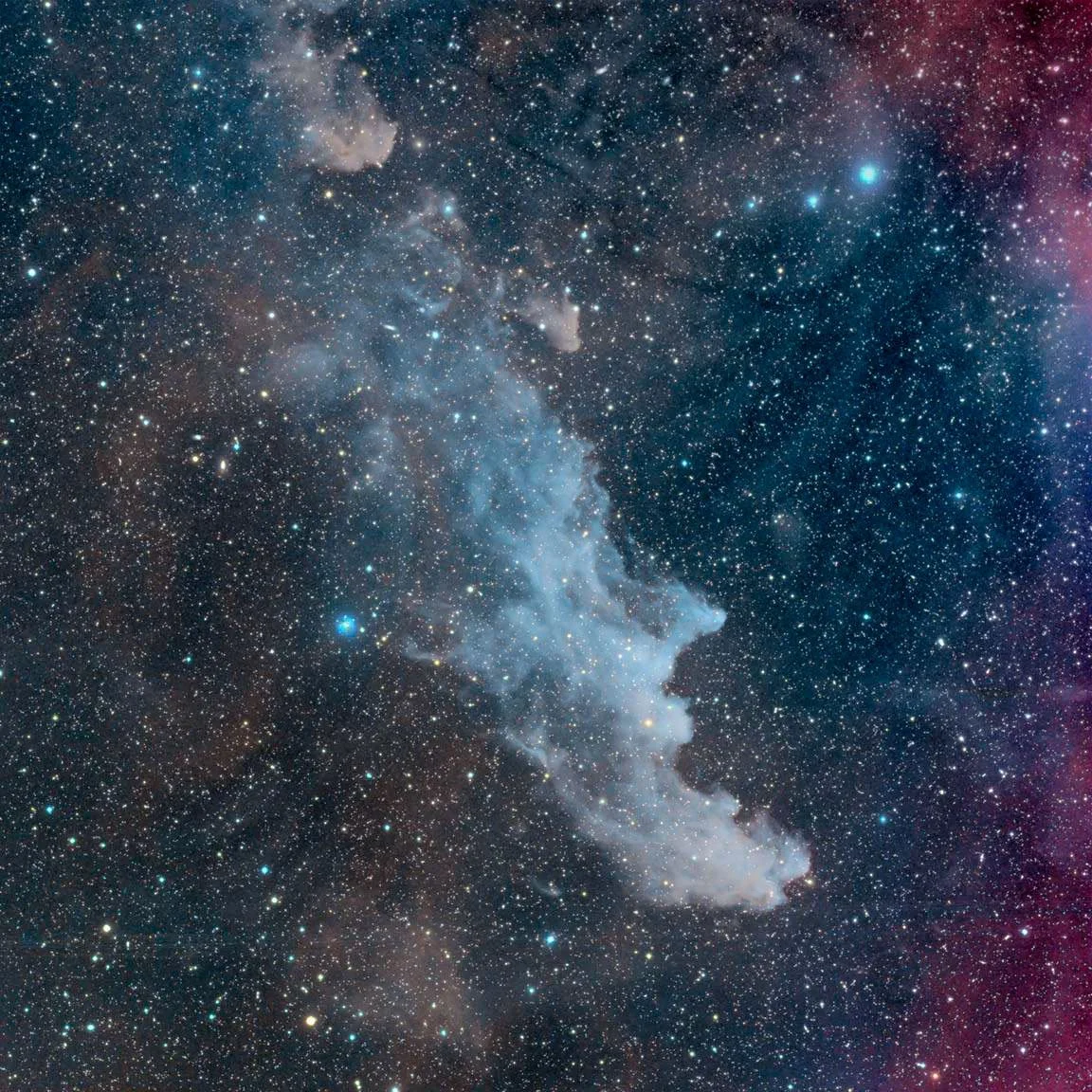 The Witch Head Nebula