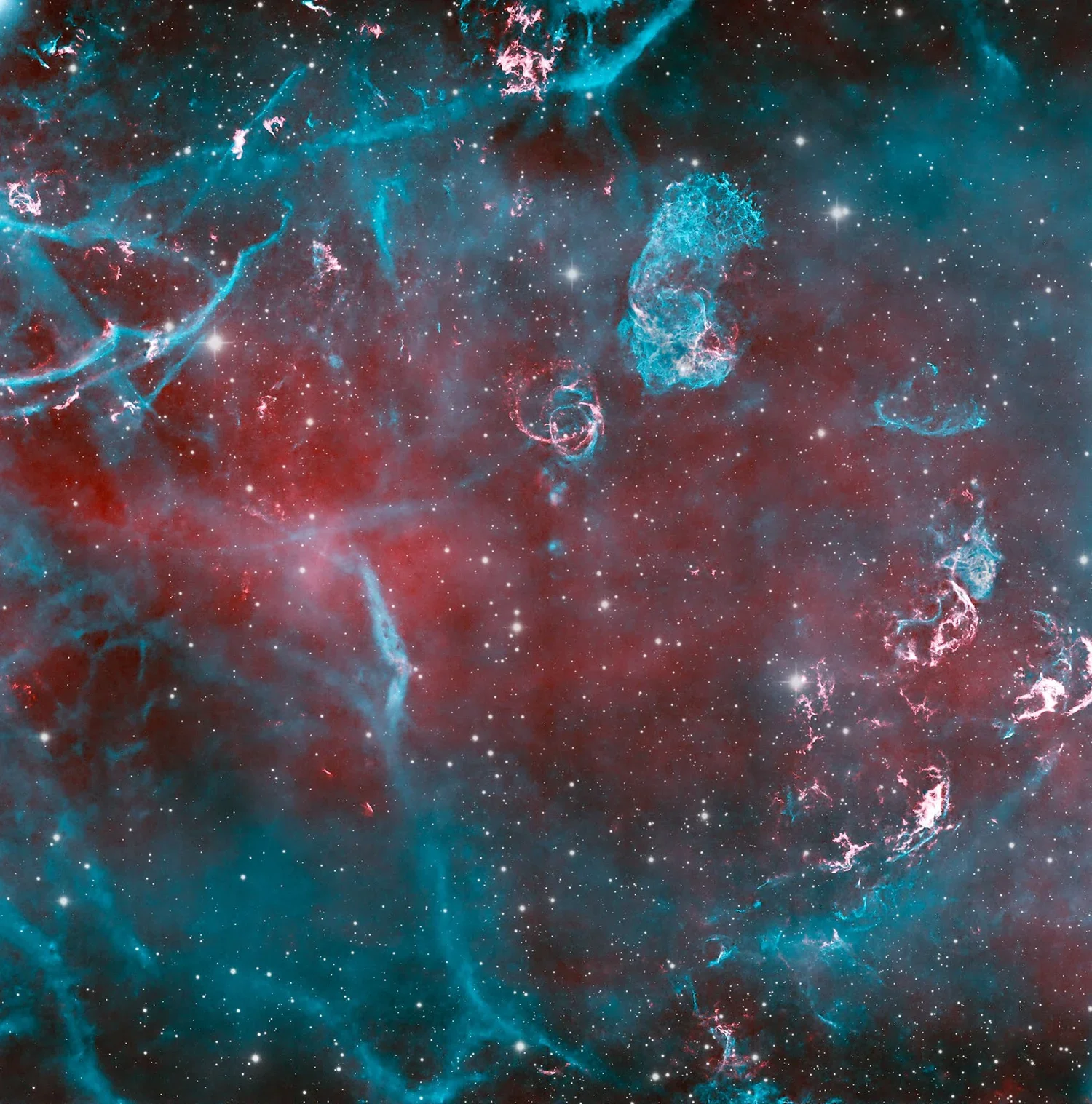 Supernova Remnant in Puppis