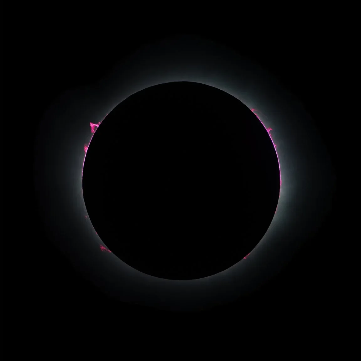 Solar Eclipse Prominences and Chromosphere Composite