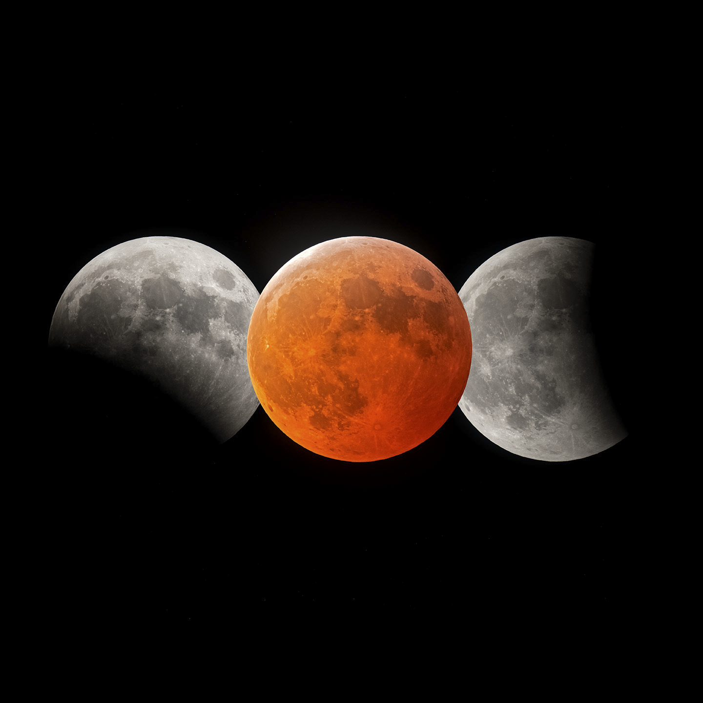 Lunar Eclipse Composite 3-14-2025