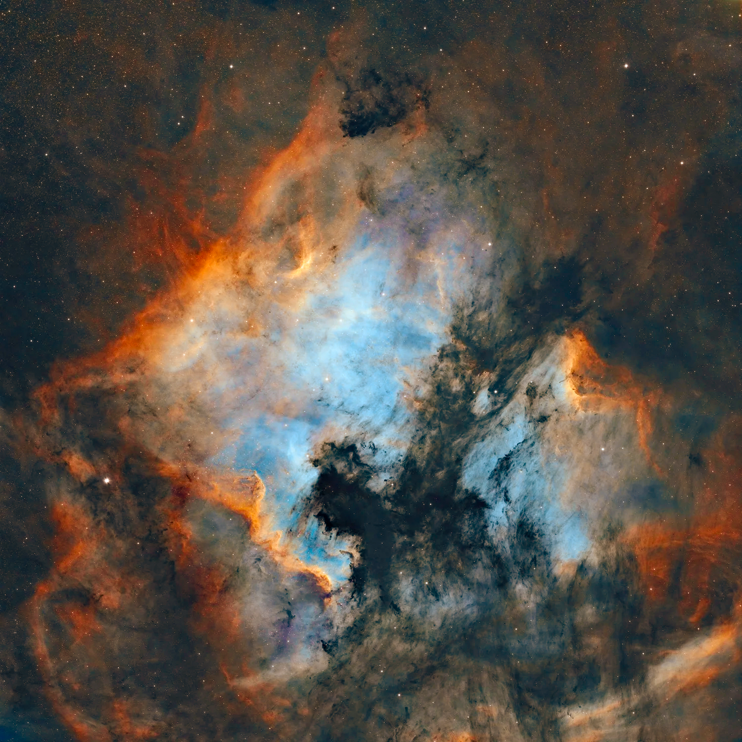 The North American and Pelican Nebulae
