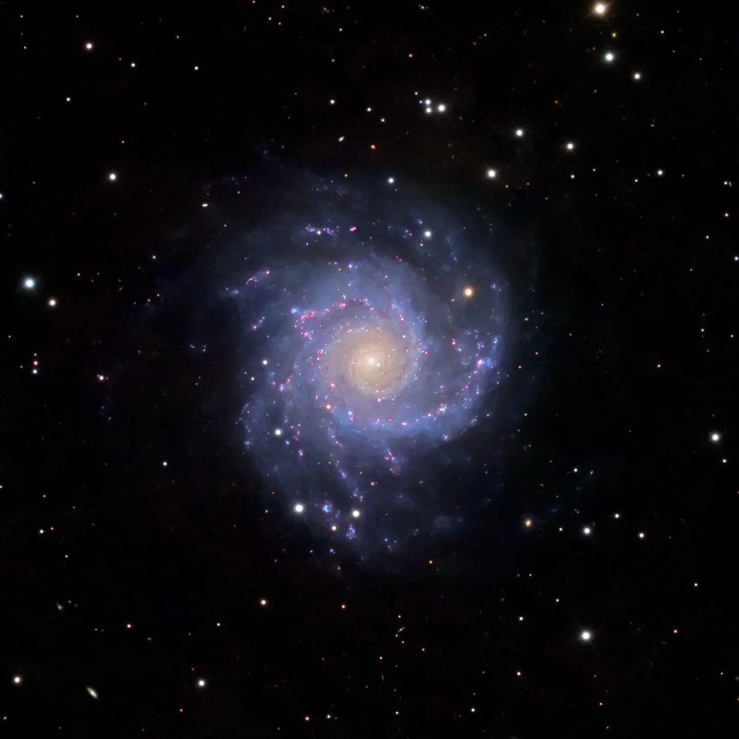 M74