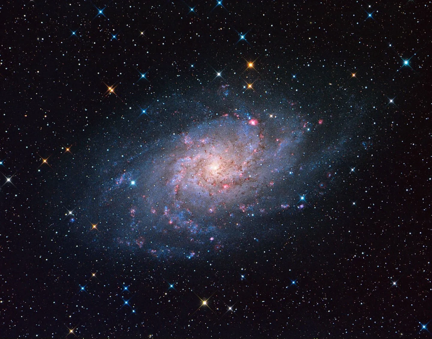 M33