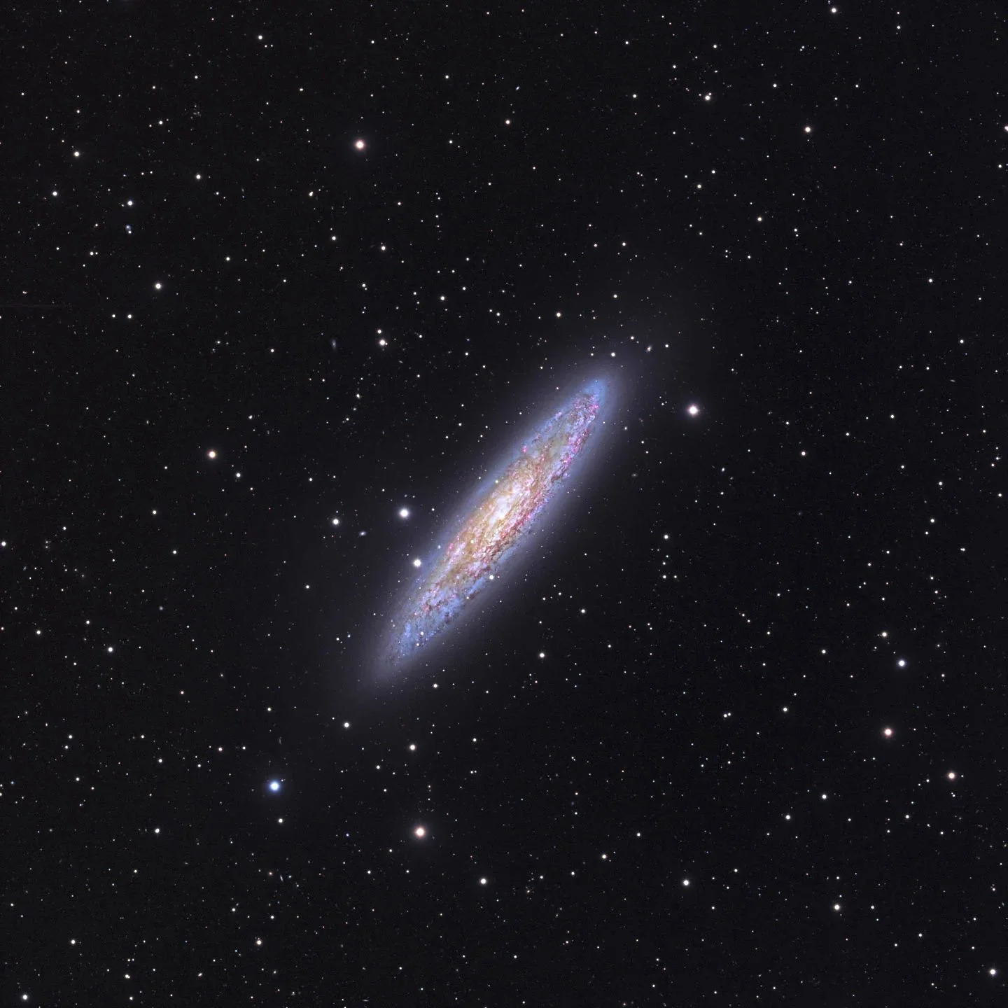 Galaxy NGC253
