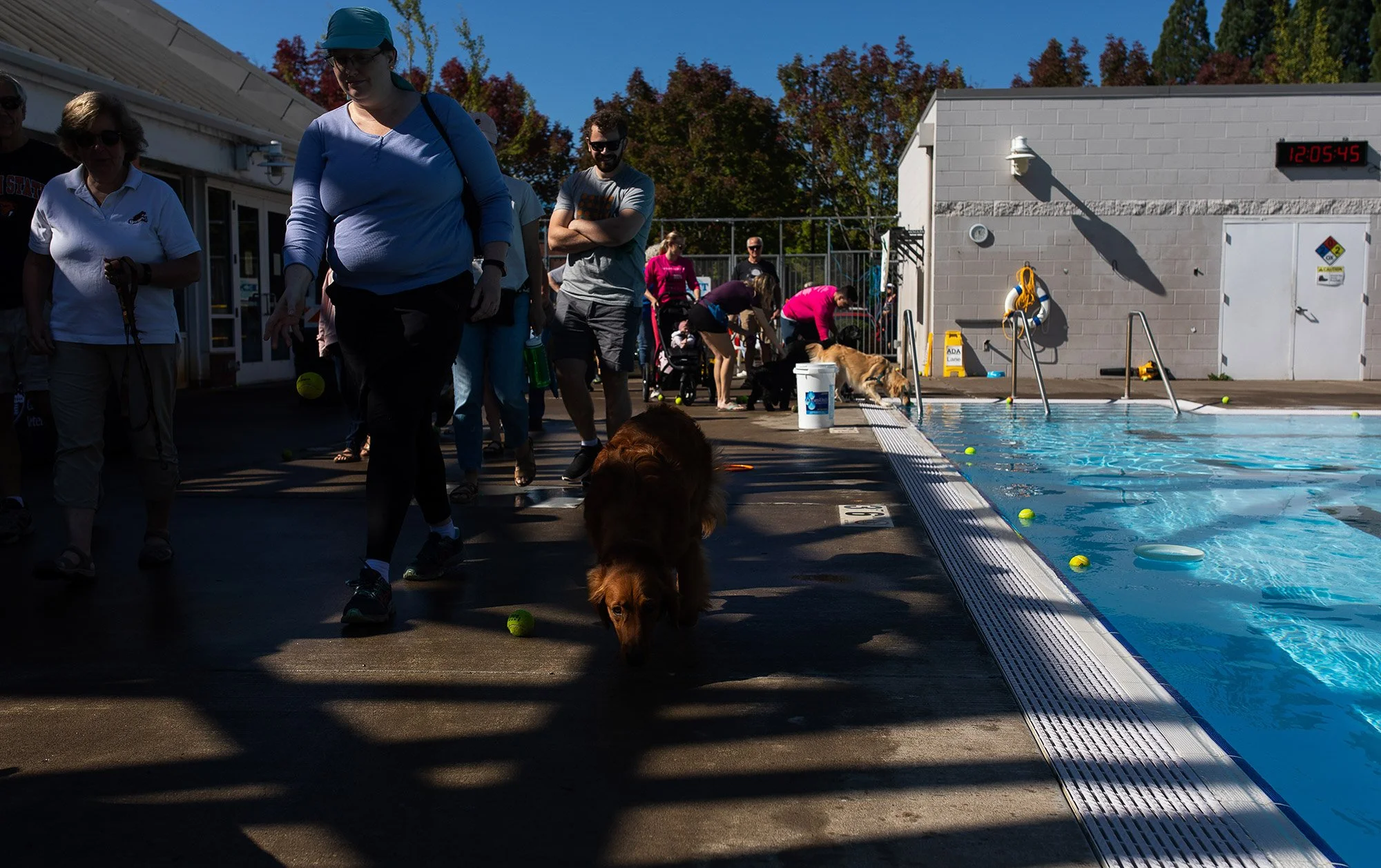 20221001-dogDay-kap-08.jpg
