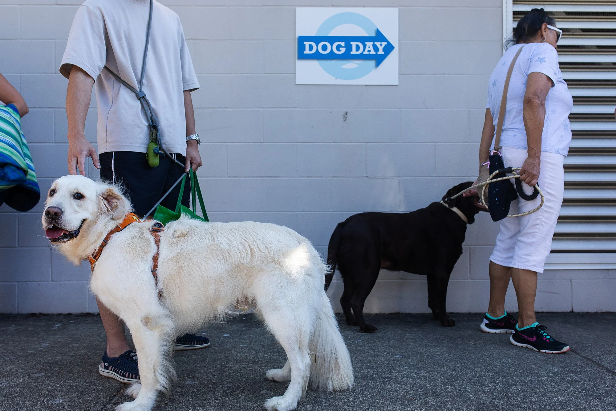 20221001-dogDay-kap-07.jpg