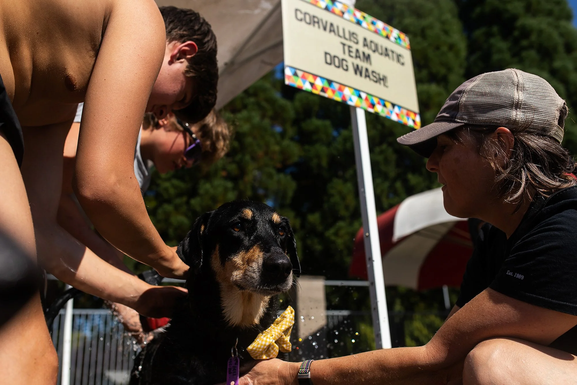20221001-dogDay-kap-18.jpg