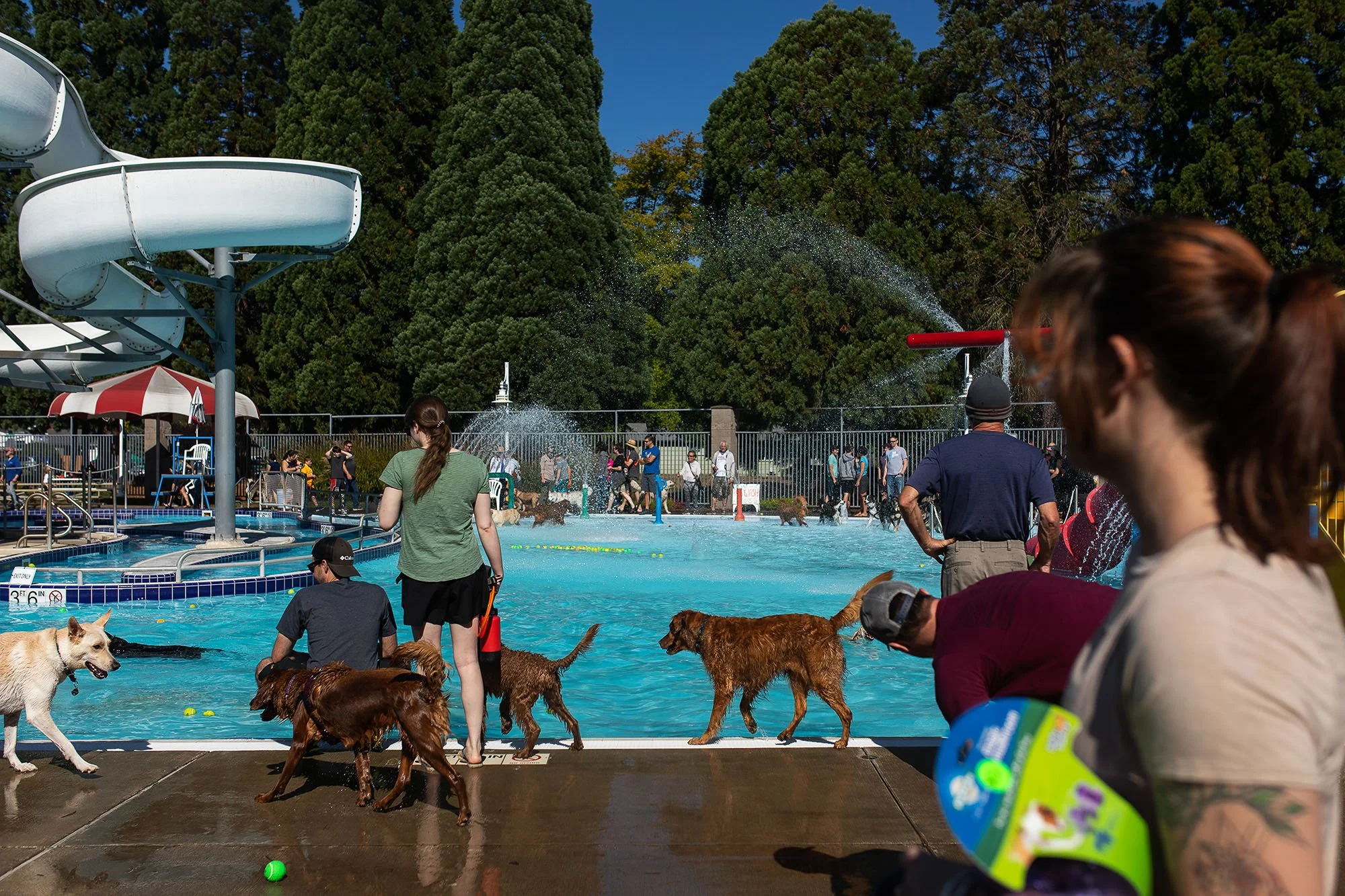 20221001-dogDay-kap-17.jpg