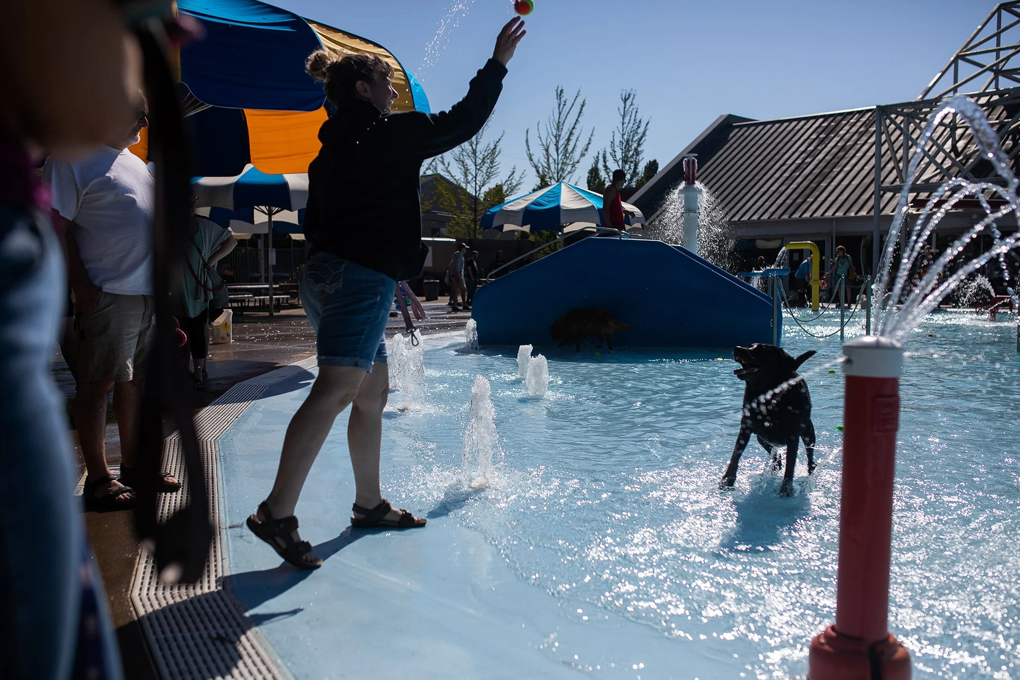 20221001-dogDay-kap-02.jpg
