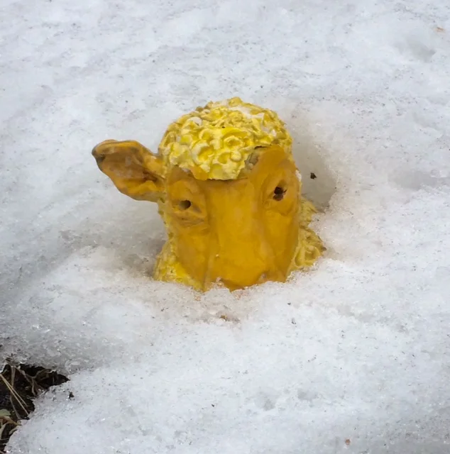 Påske på Sandøya!