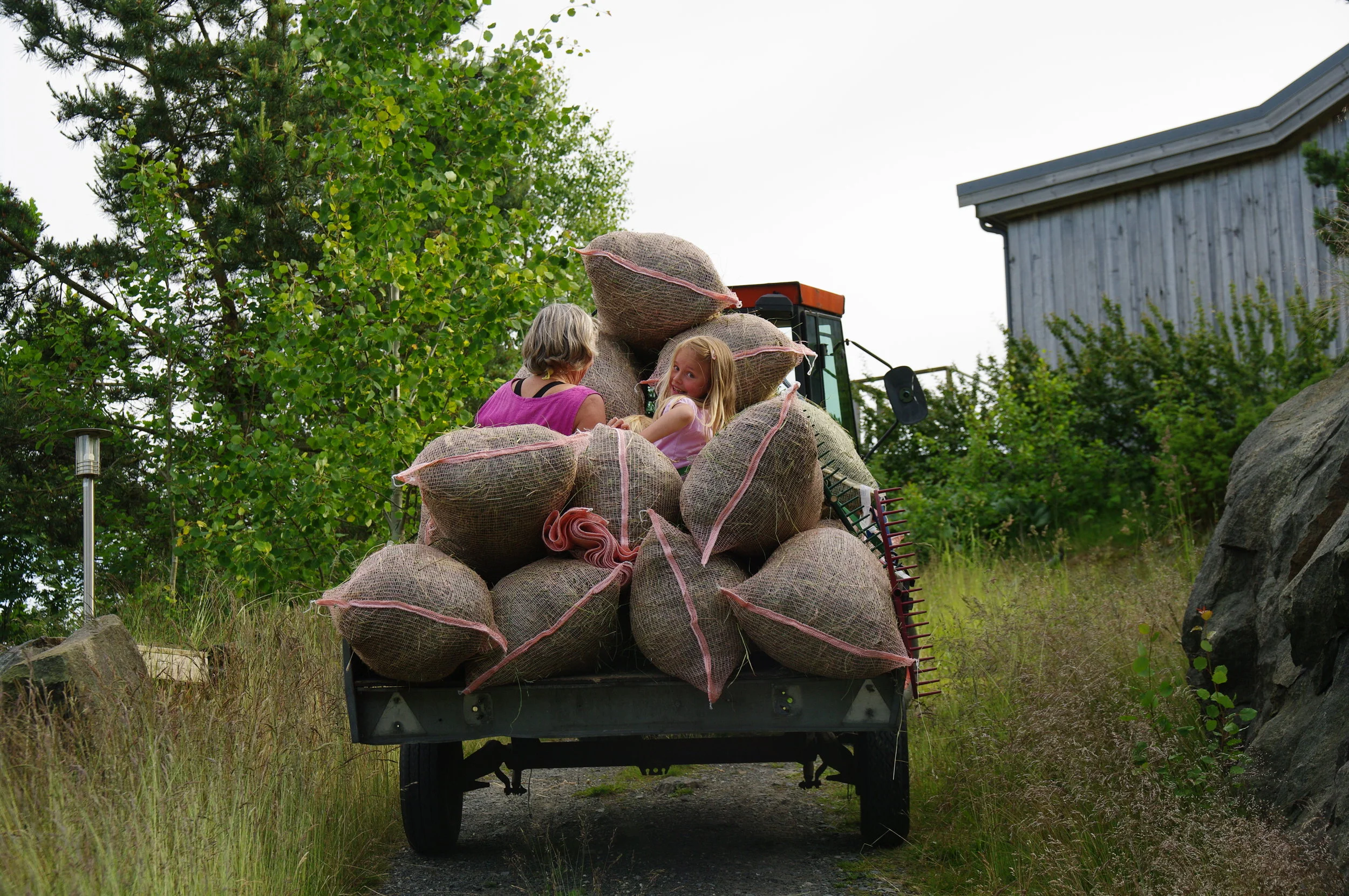 Pinsehelg på Sandøya!