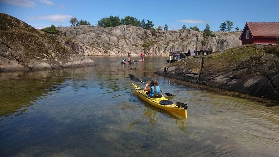 Inni Granskogen mye å finne på i sommer!