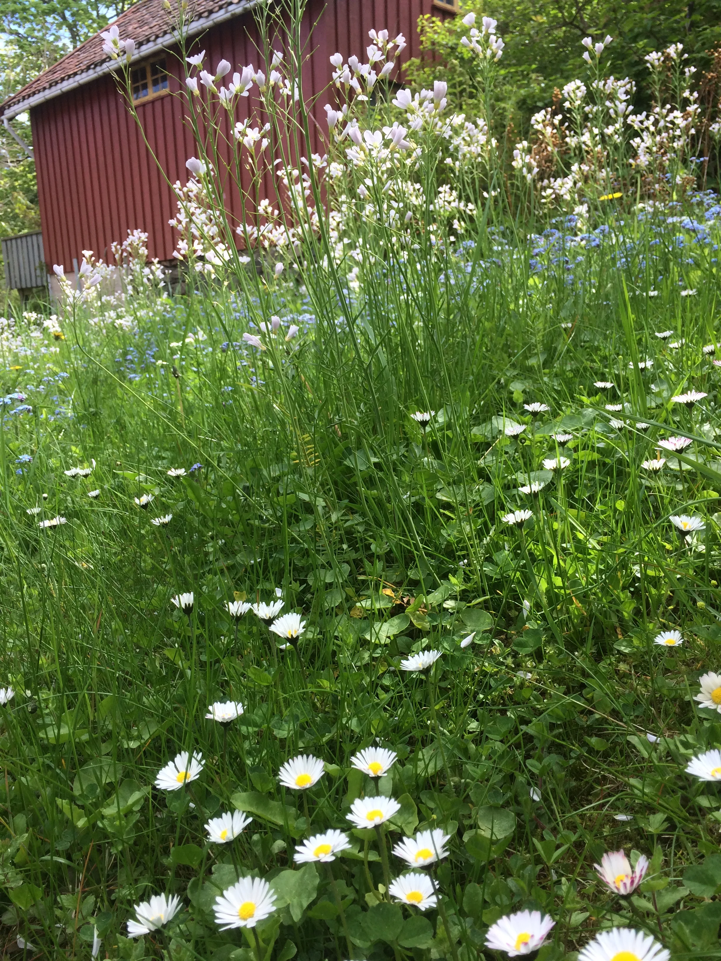 Snart er det vårmarked!