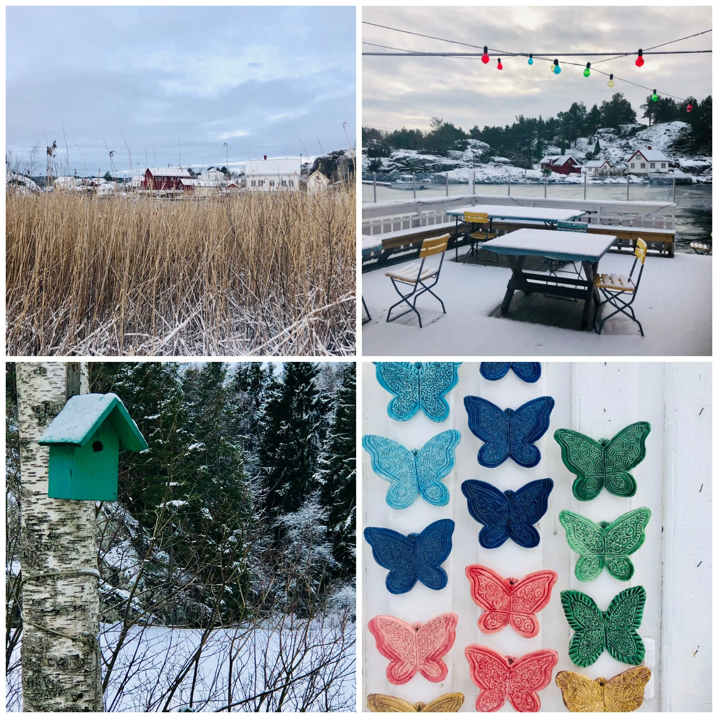 Nydelige vinterdager....