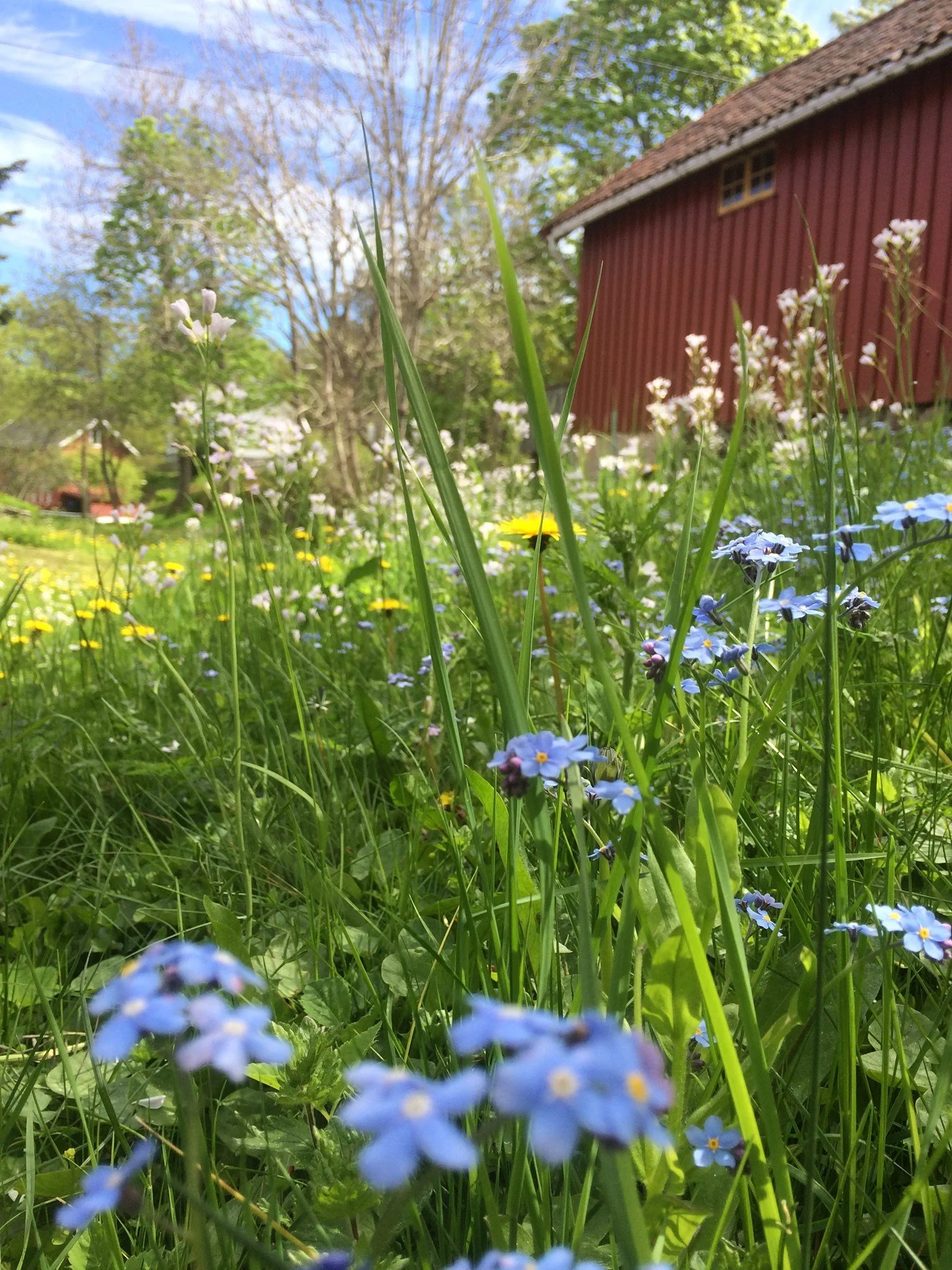 Langhelg og ekstraskyss!