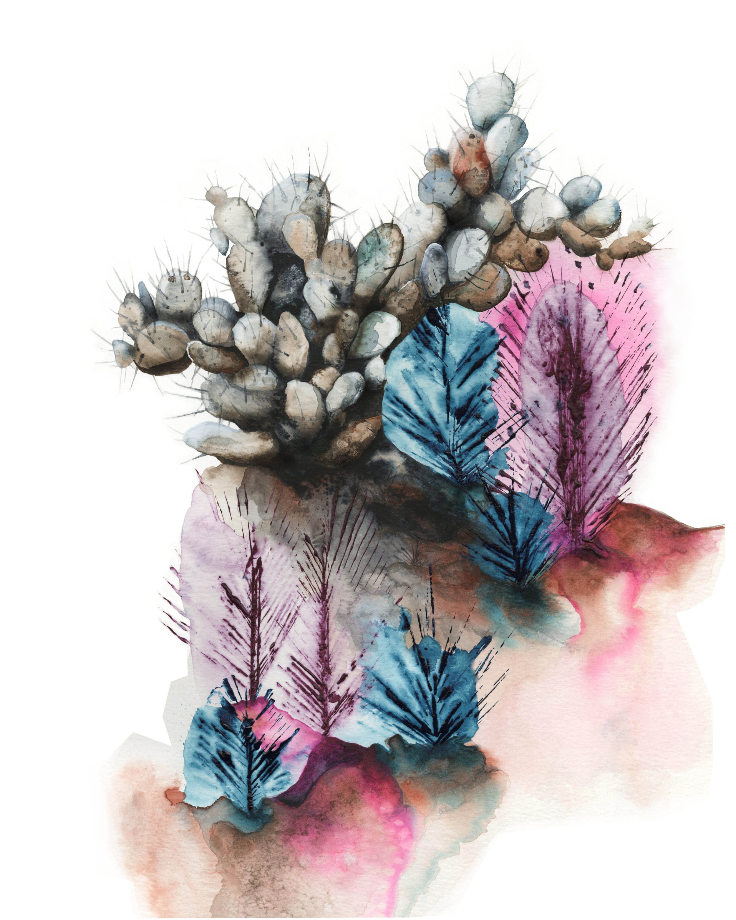 Cacti_reduced.png