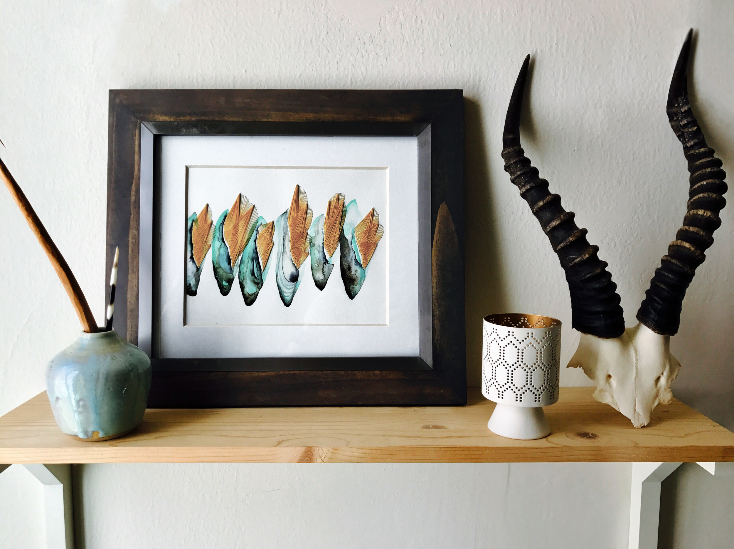 mollusksframed.png