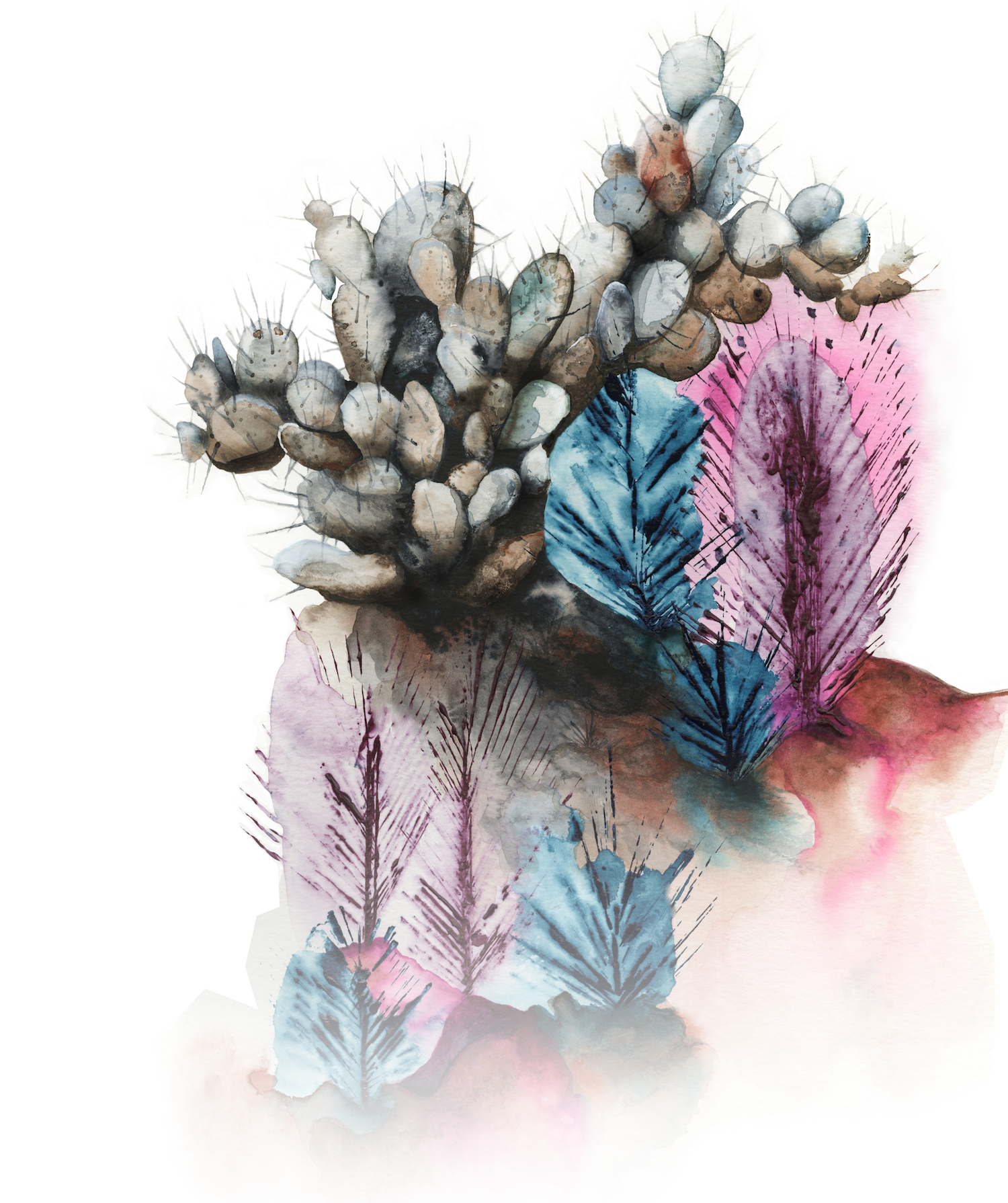 cactigradient_reduced.jpg