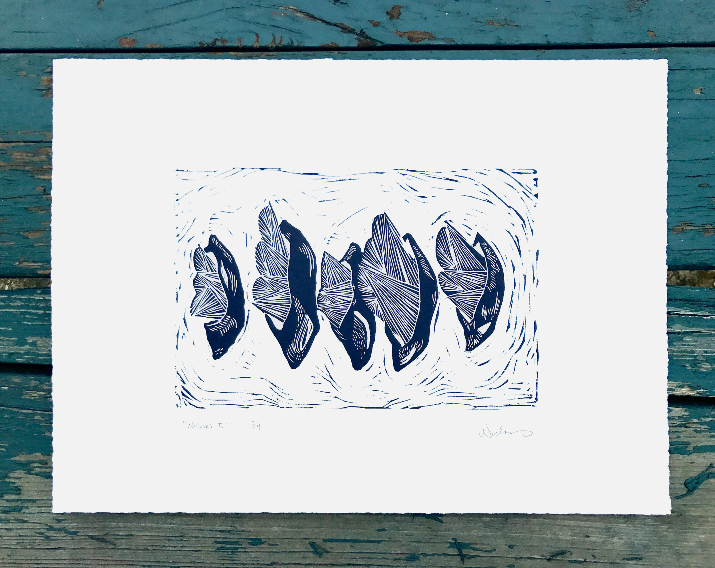 Mollusks II.png