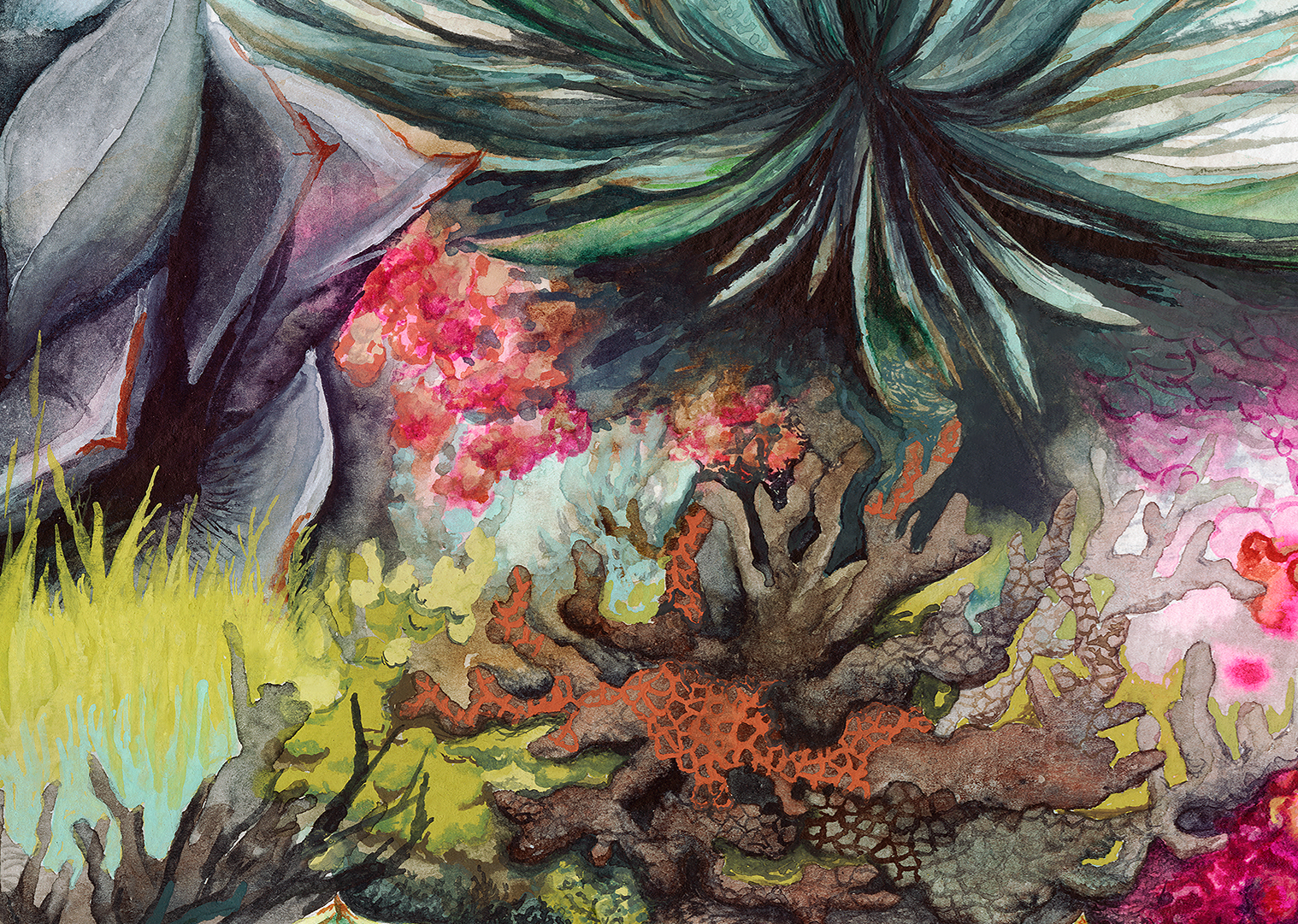 Succulents_details2.png