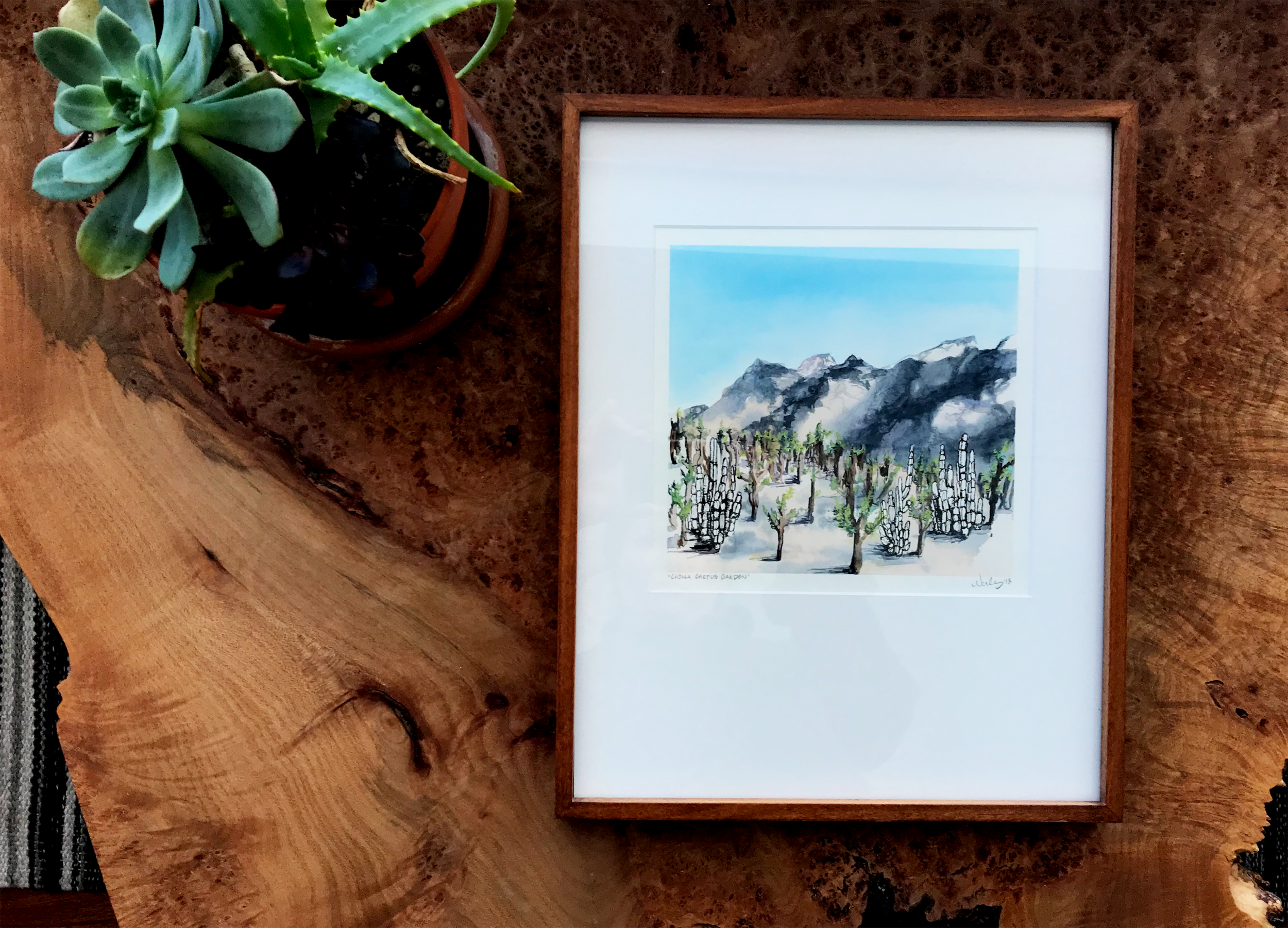ChollaFramed2.png