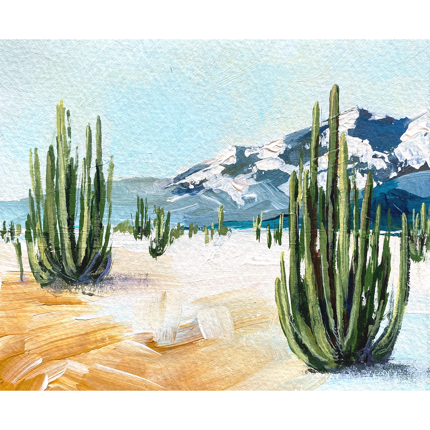 "Cactaceae Bouquet"