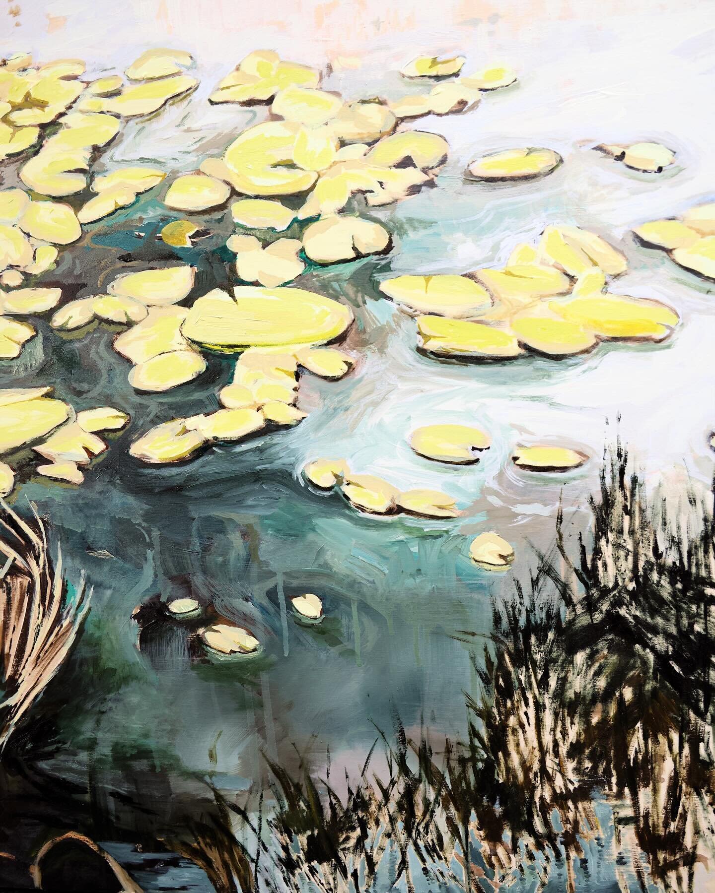 Detail of a recently finished painting. Oil on panel 🌾

#painting #contemporaryart #oilpainting #lilypads #noellephares #landscape #artist #denverart #bmoca