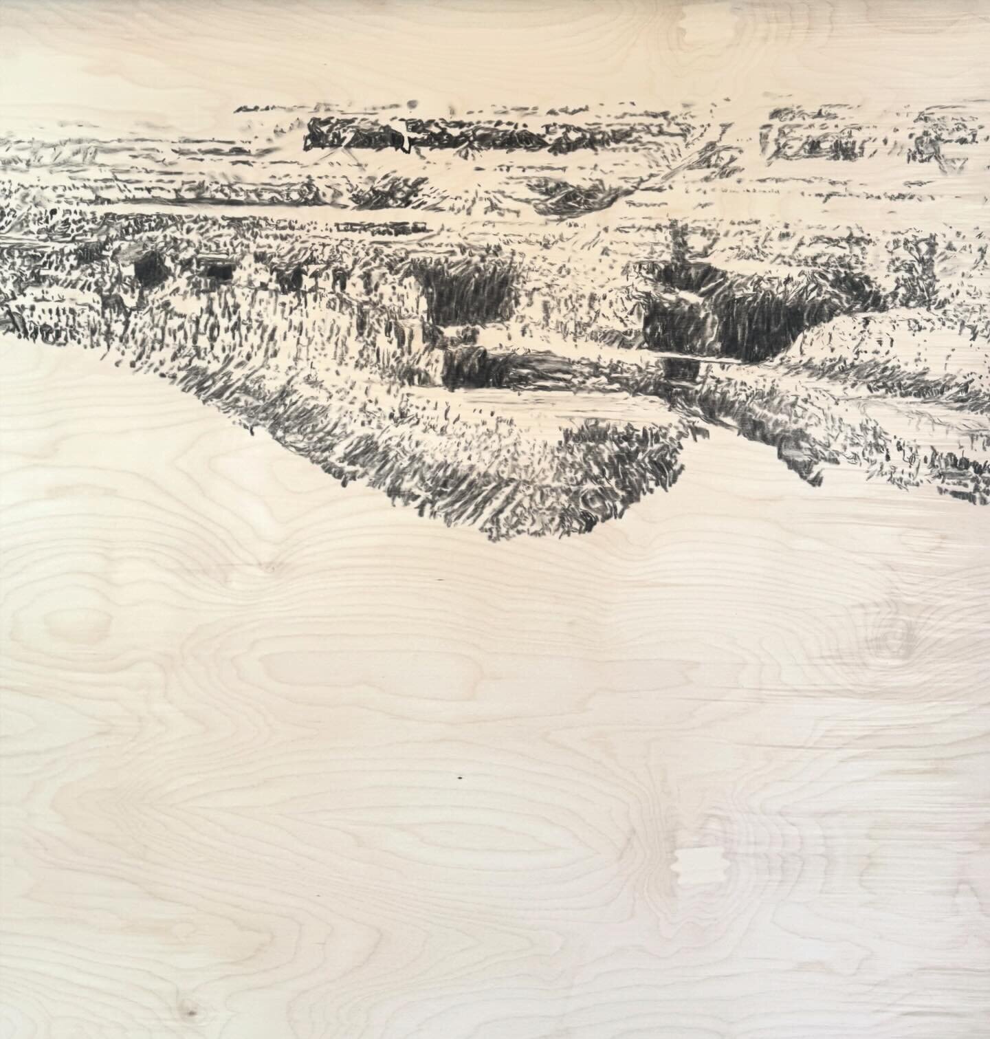 Tedium 😅🏜️

Charcoal on panel wip

#markmaking #drawbeforeyoupaint #workinprogress #deadhorsepoint #landscape #coloradoriver #artist #noellephares