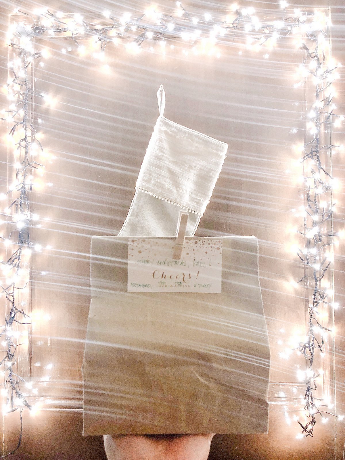 white gold christmas-007.JPG