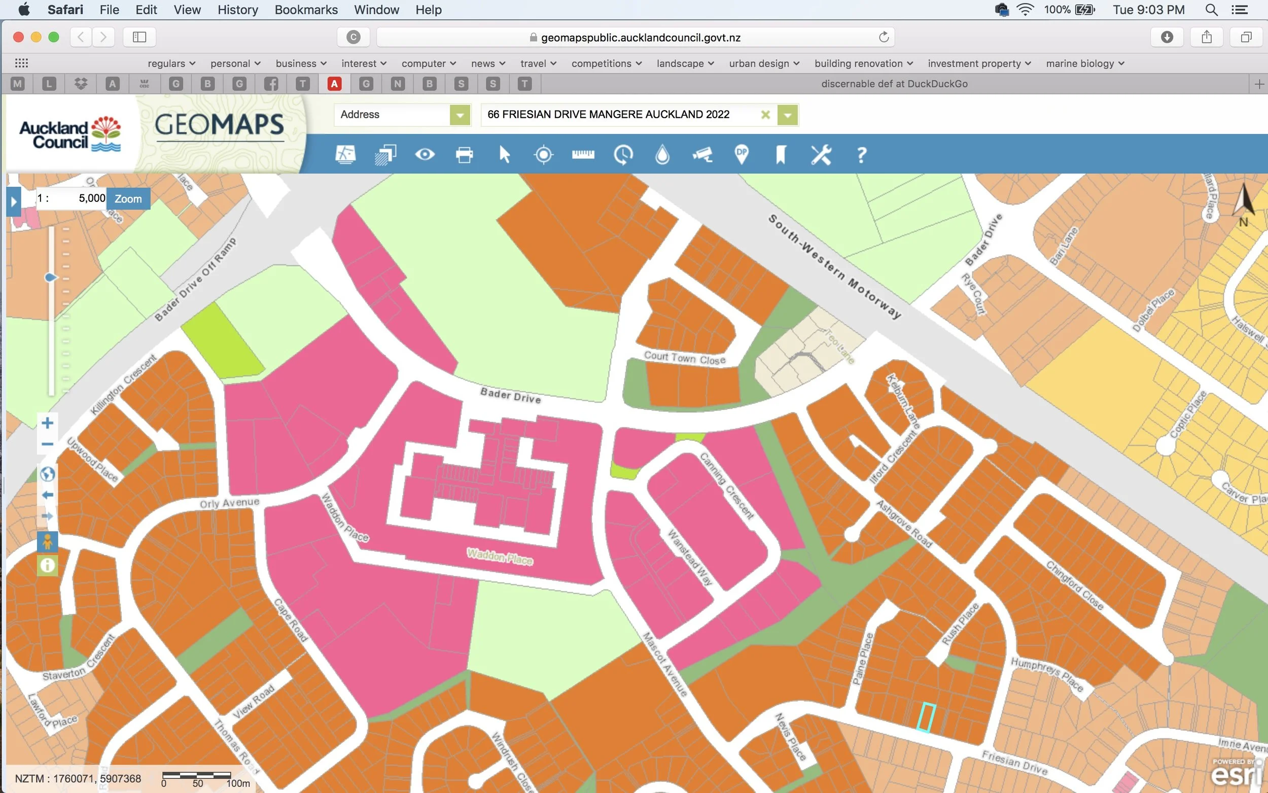 Screen Shot 2018-03-13 at 9.03.50 PM.jpeg