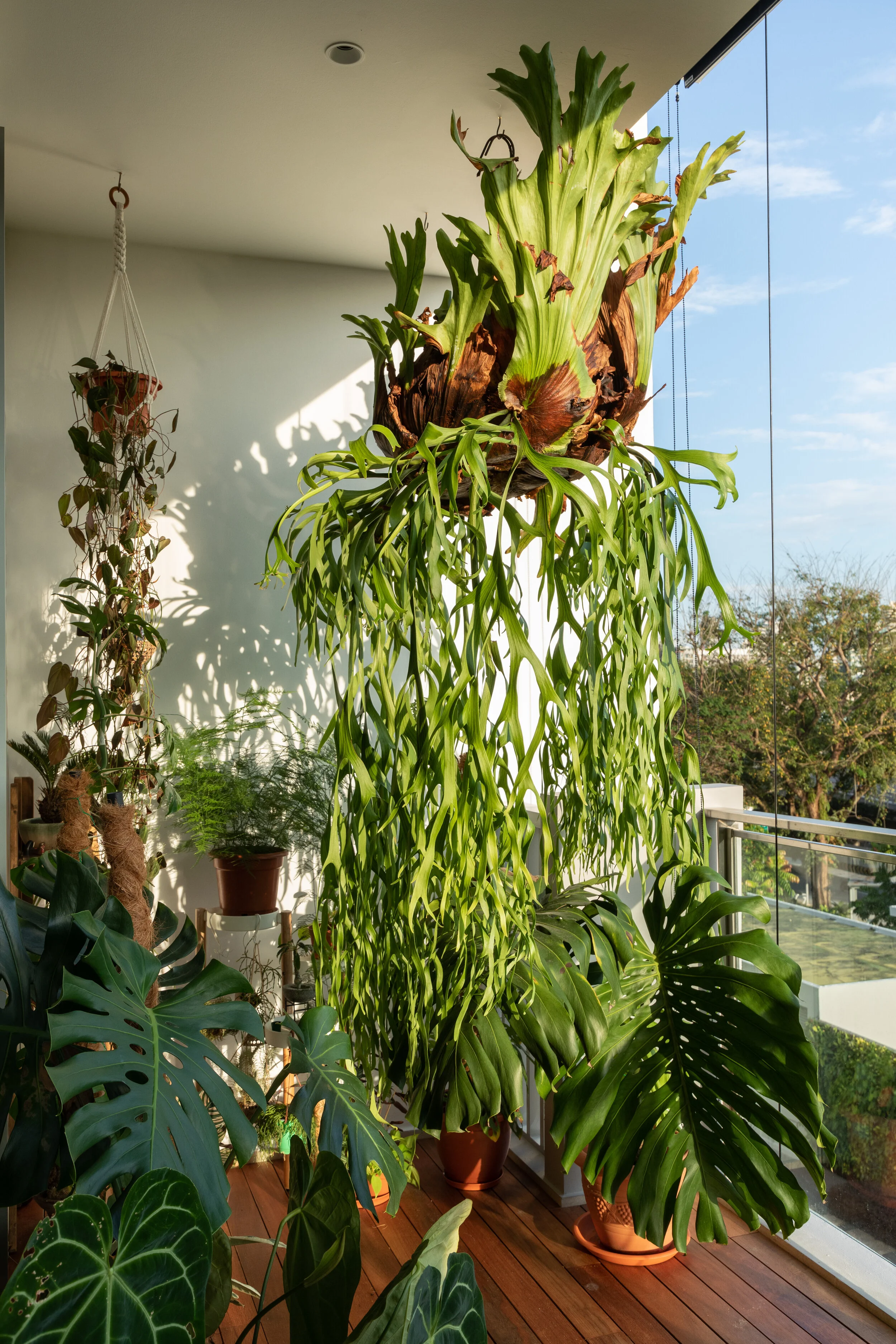 20210315_38 Trevose Crescent_Goy_26.jpeg