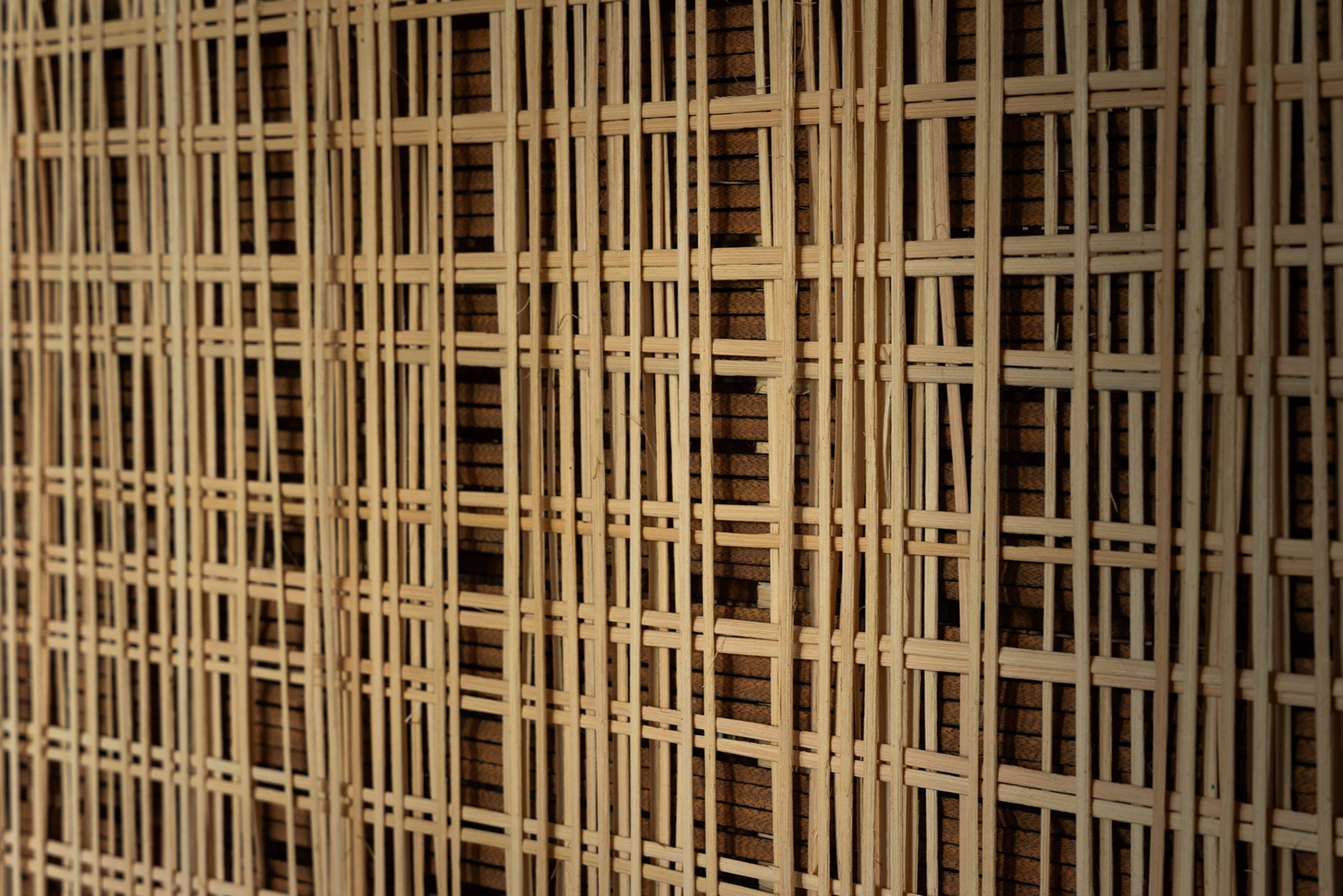 Goy_Architects_145_Neil_Rd_Finbarr_Fallon_04.jpg