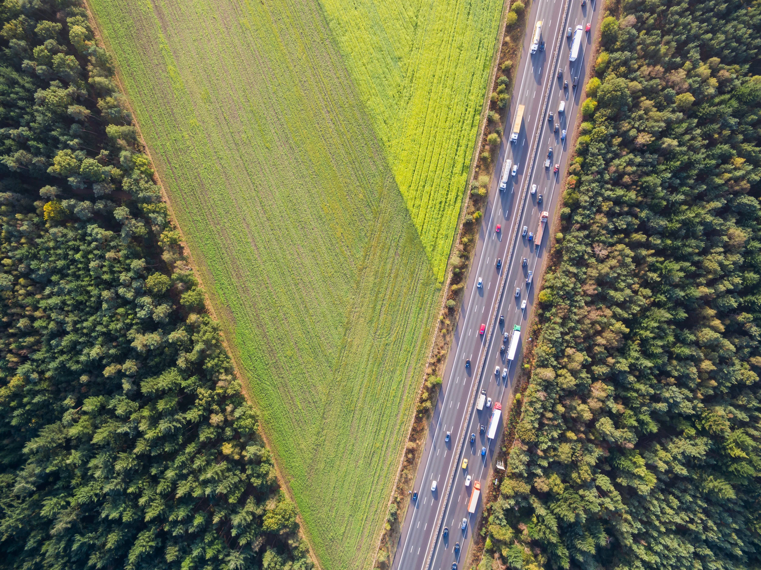 iStock-618629958.jpg