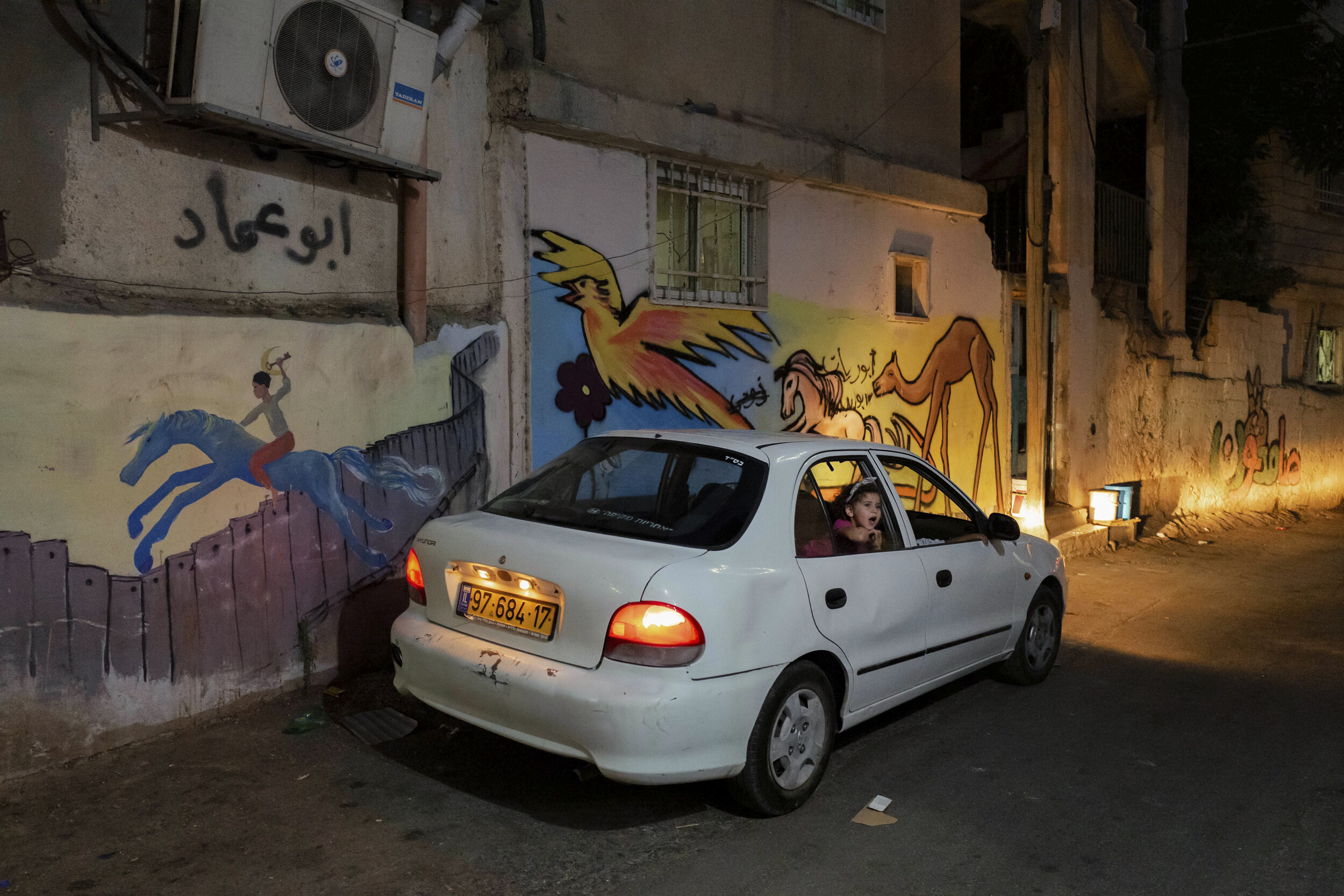 AHLP-25.jpg