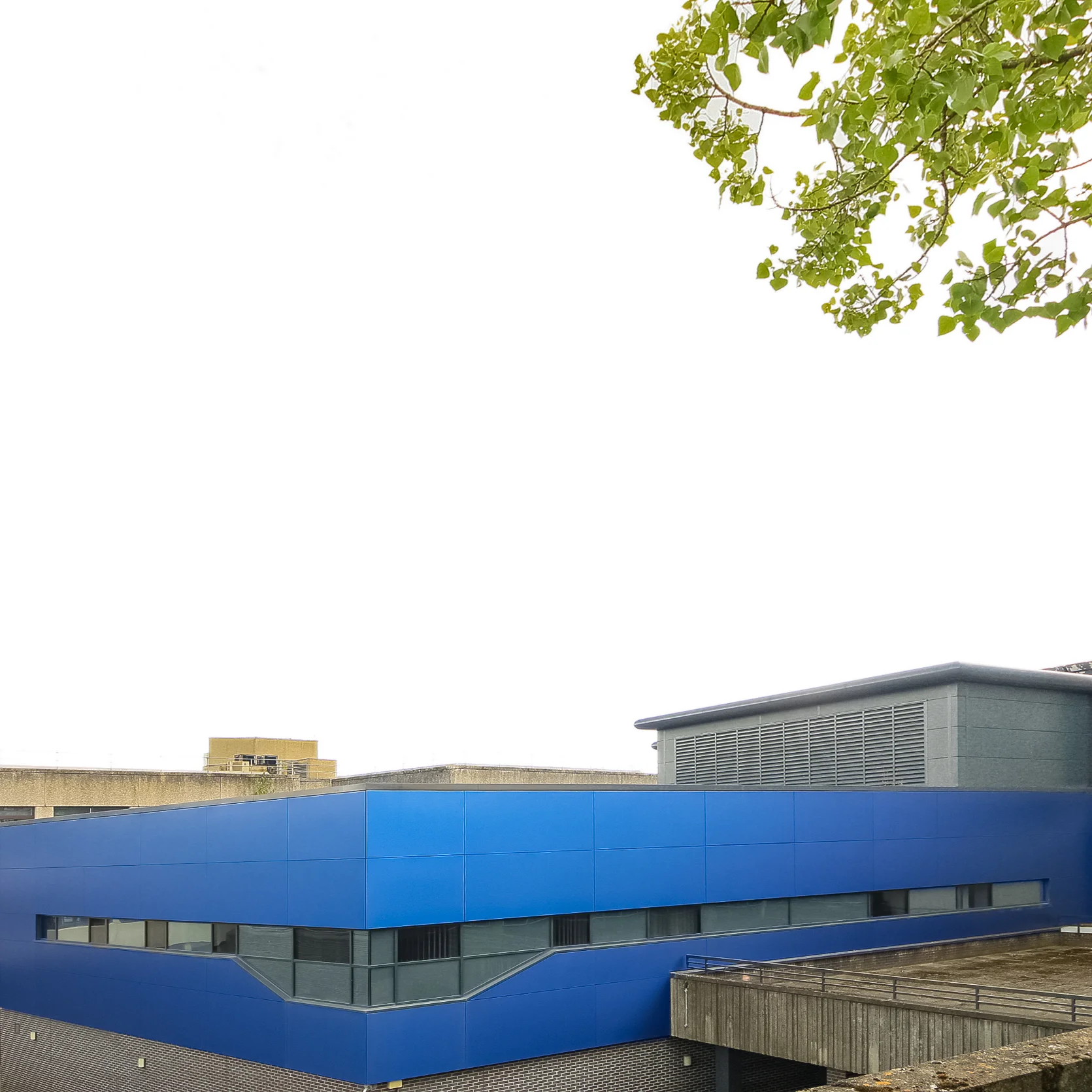 ninewells front.jpg